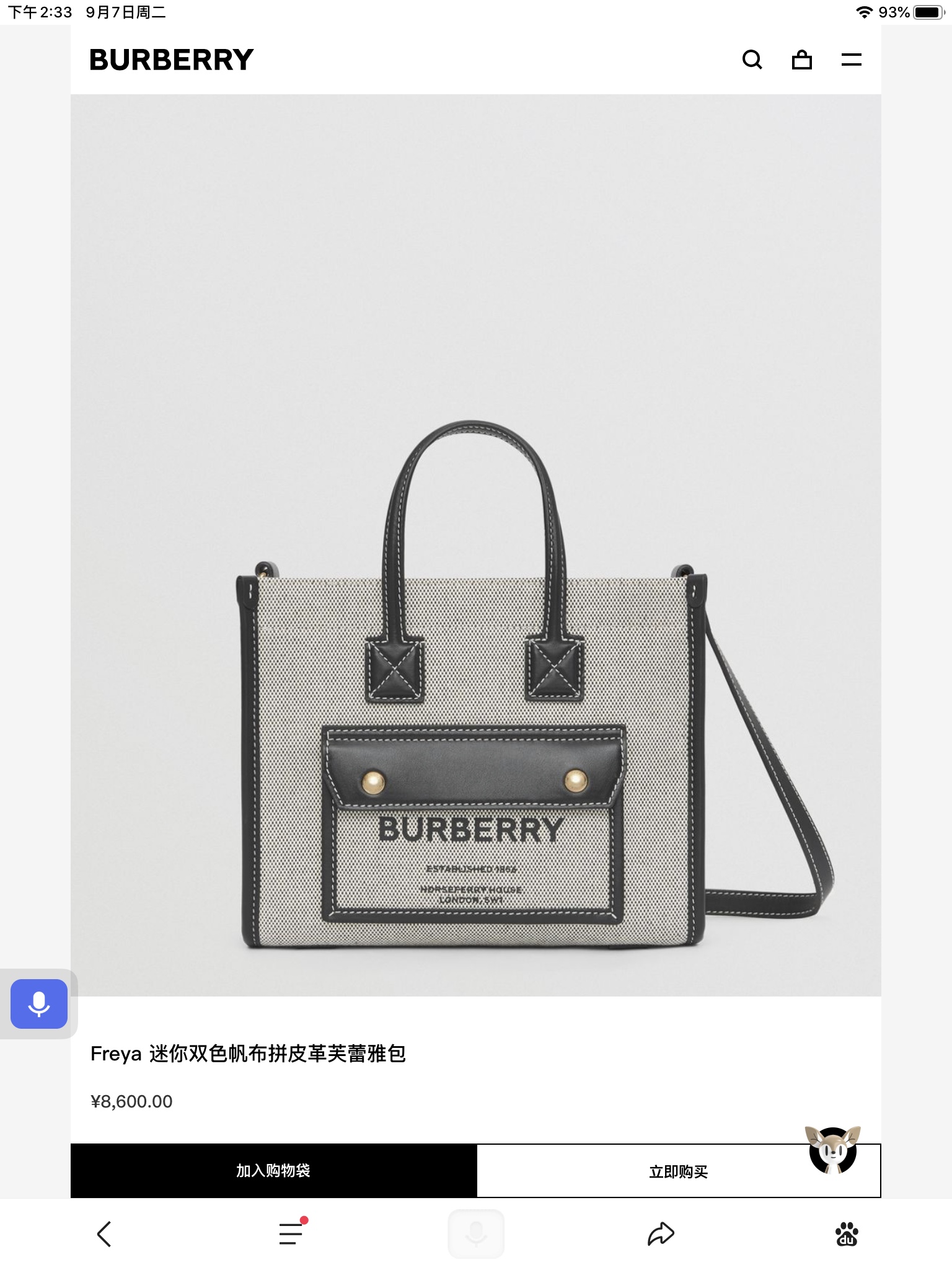 Burberry Bag