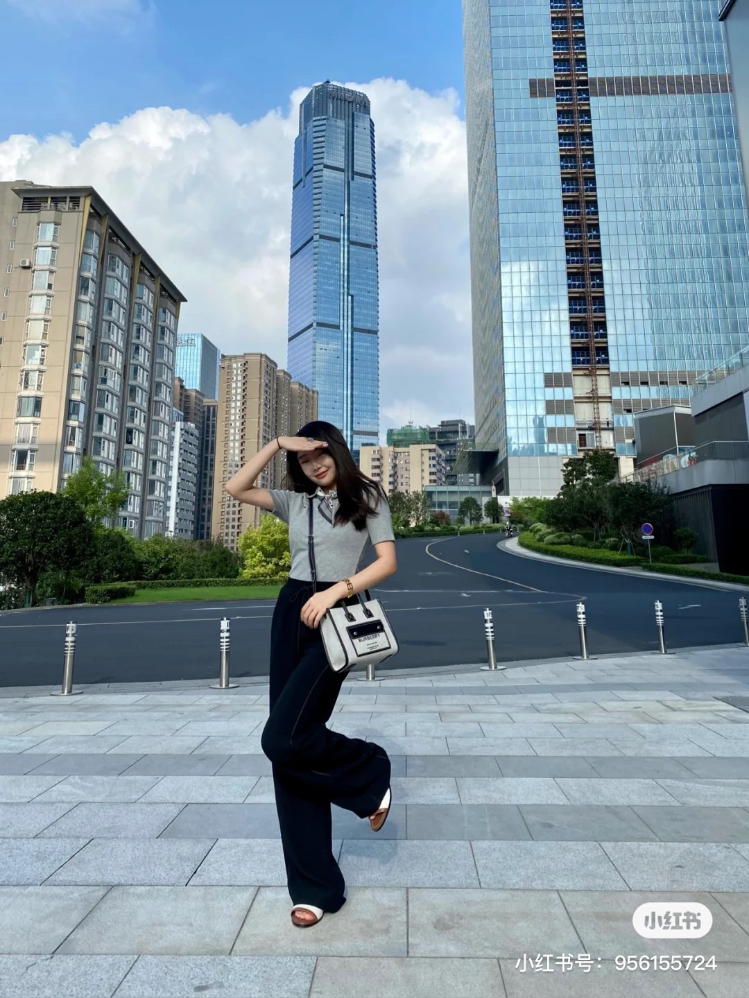 Burberry Bag