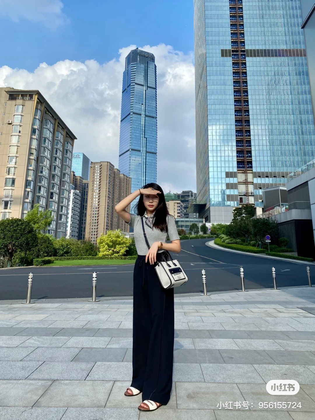 Burberry Bag