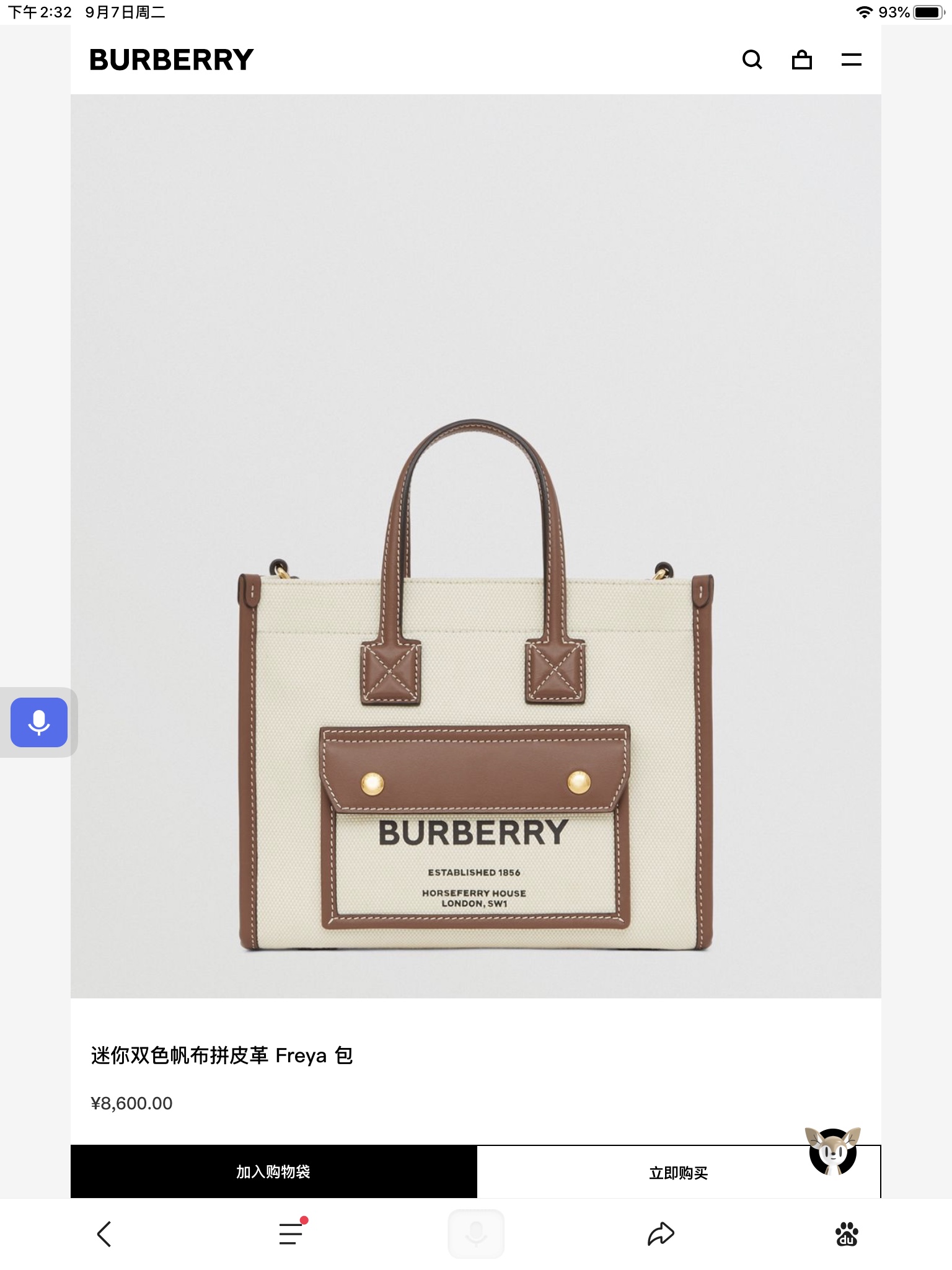 Burberry Bag