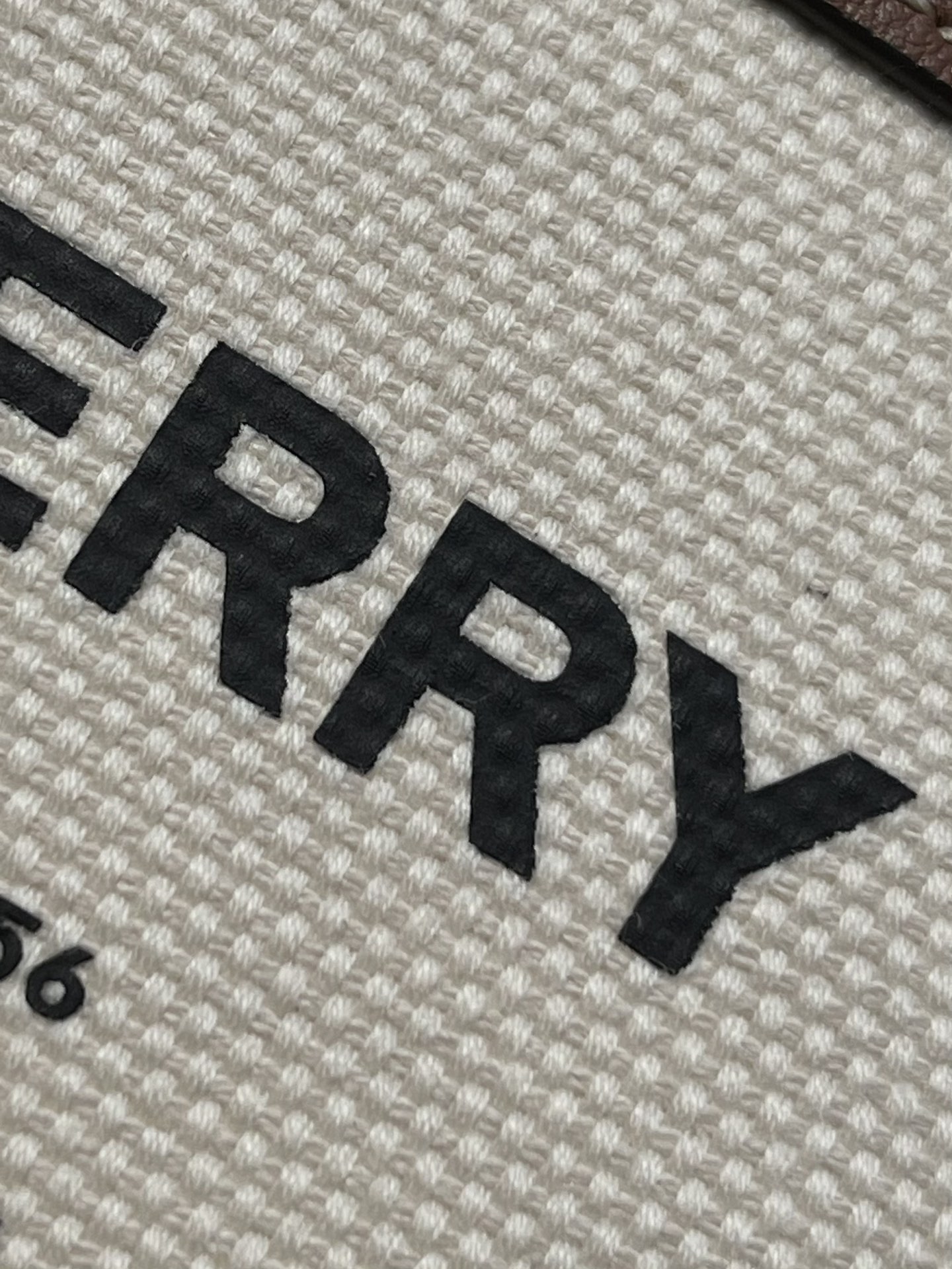 Burberry Bag