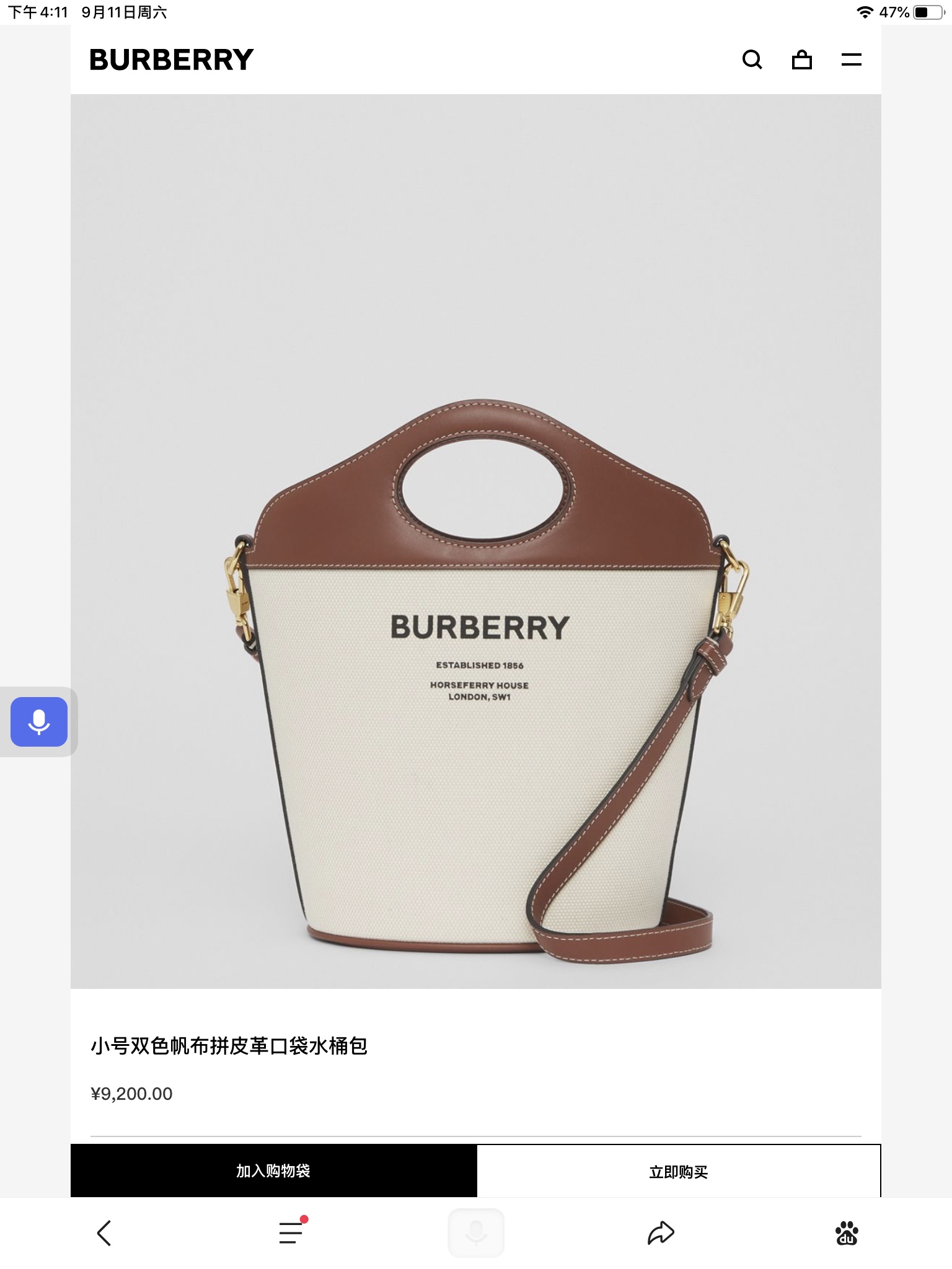 Burberry Bag