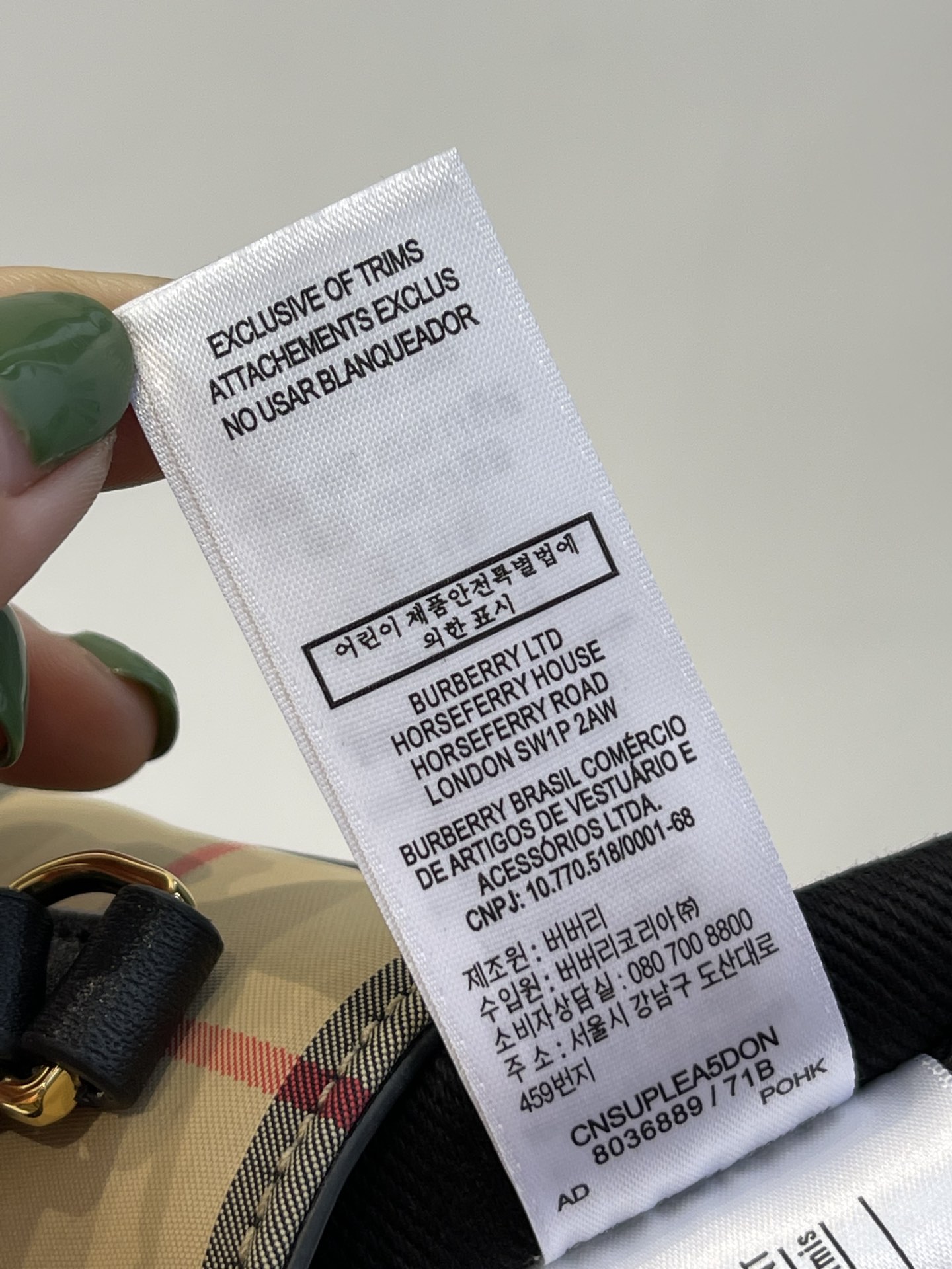 Burberry Bag