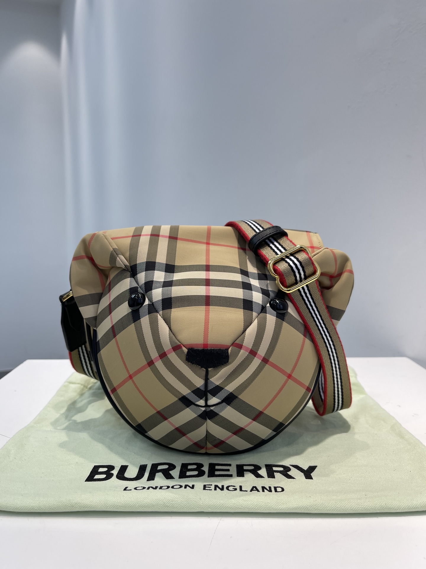 Burberry Bag