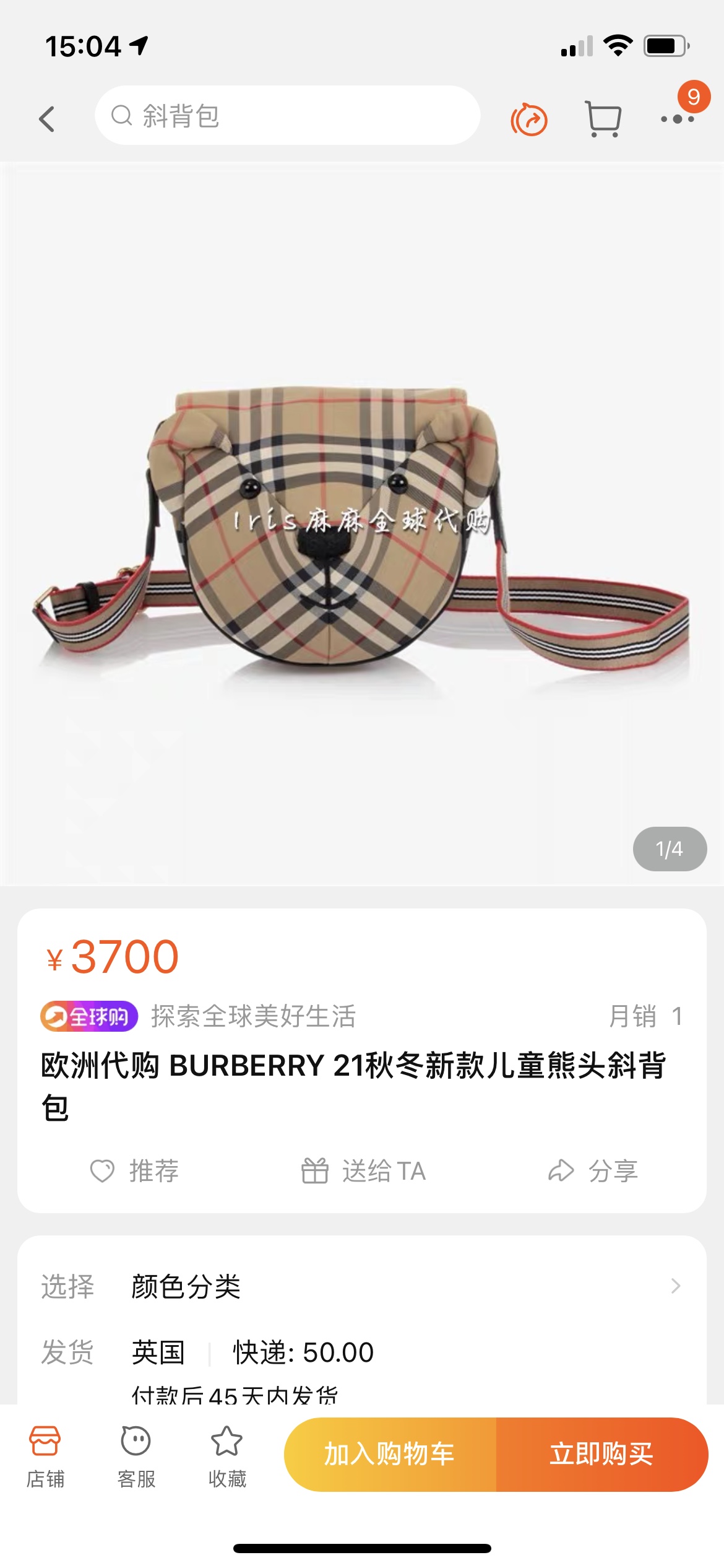Burberry Bag