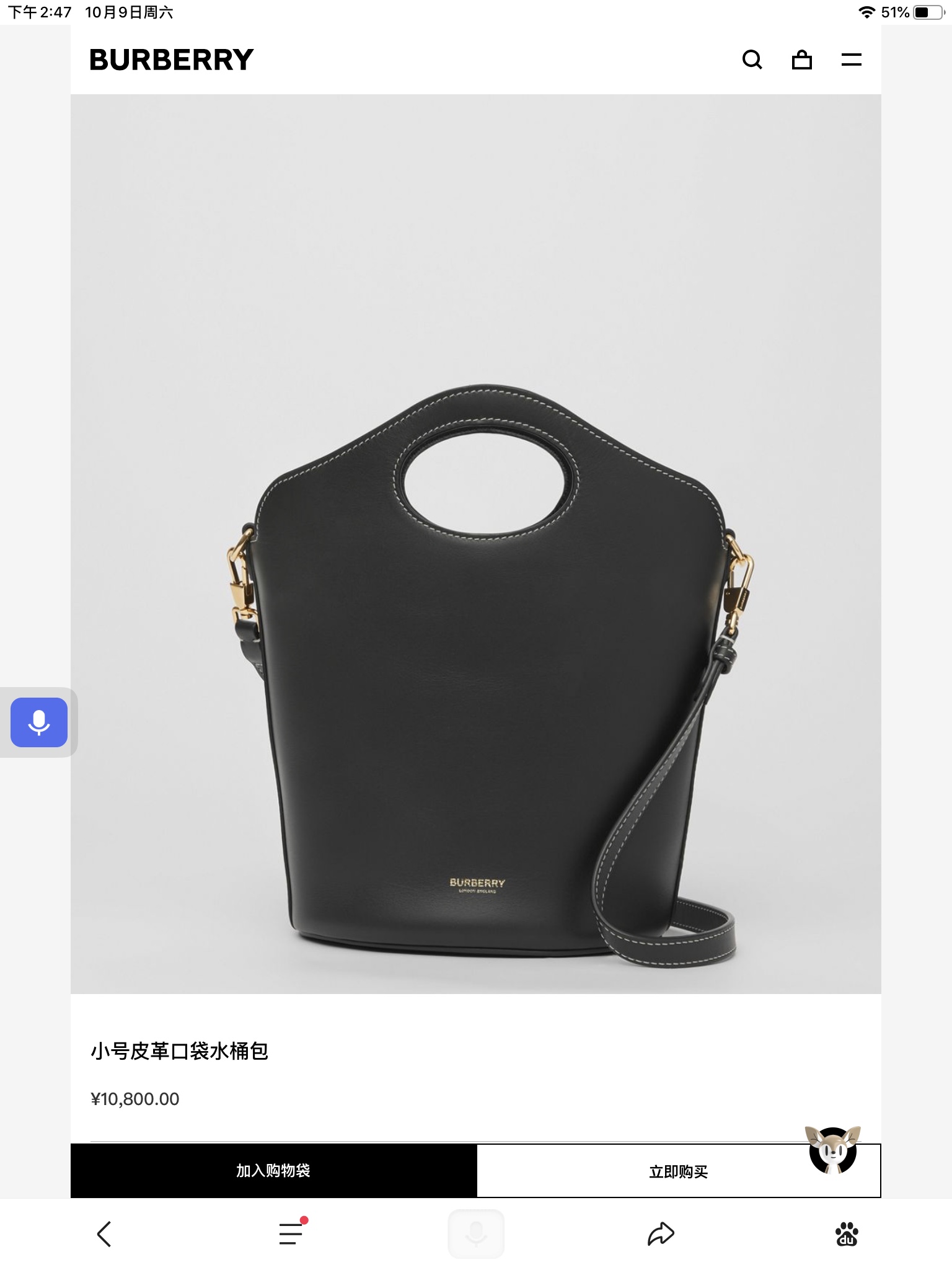 Burberry Bag