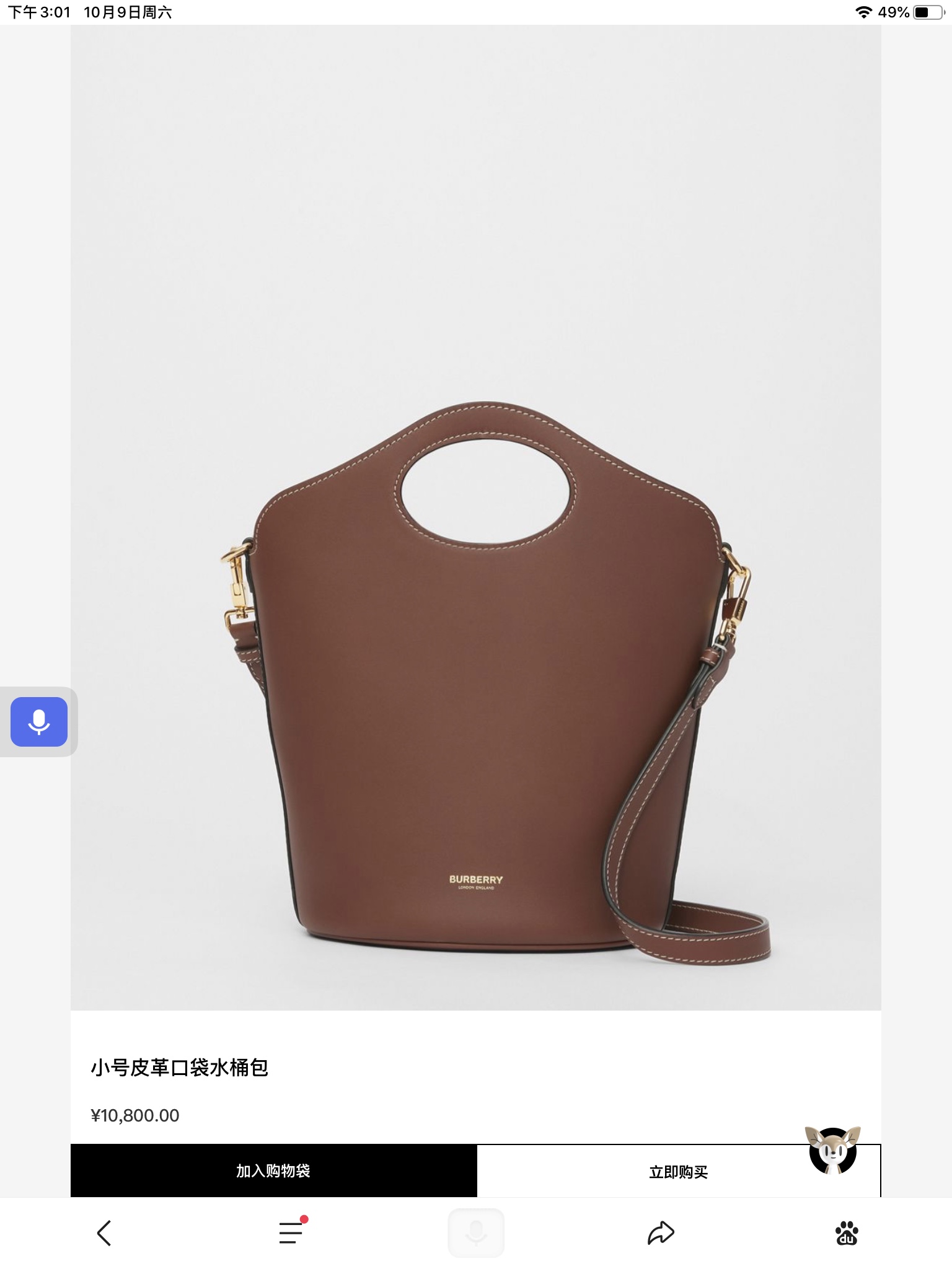 Burberry Bag