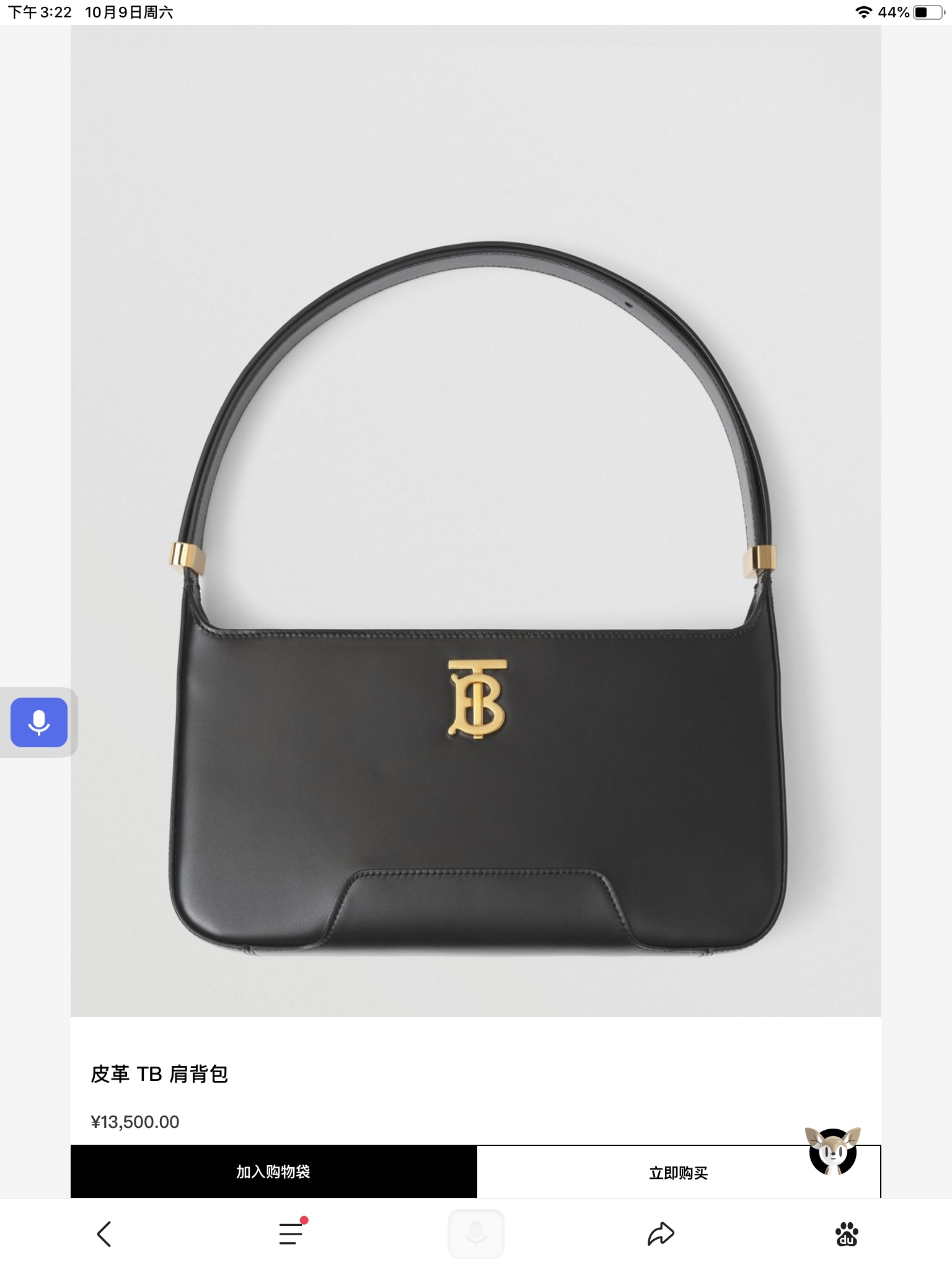 Burberry Bag