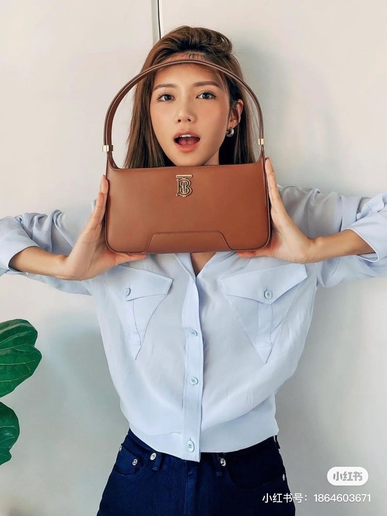 Burberry Bag