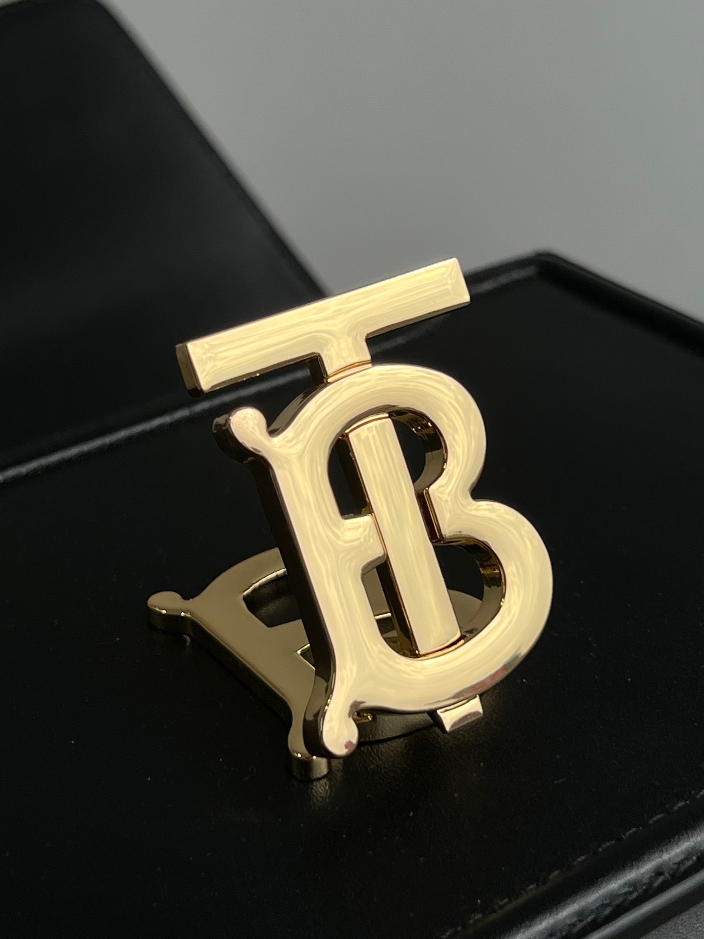 Burberry Bag