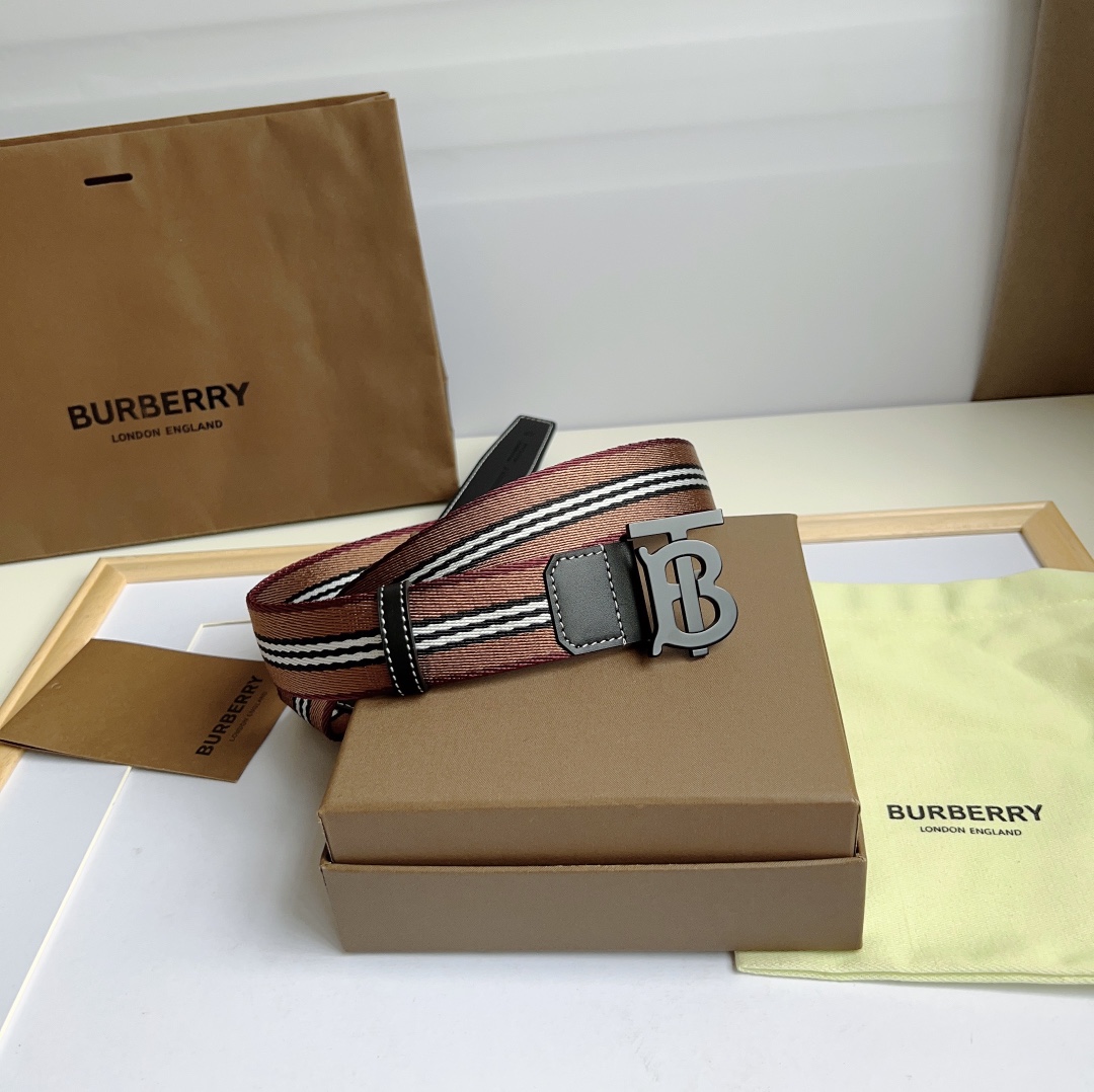 Burberry Bag