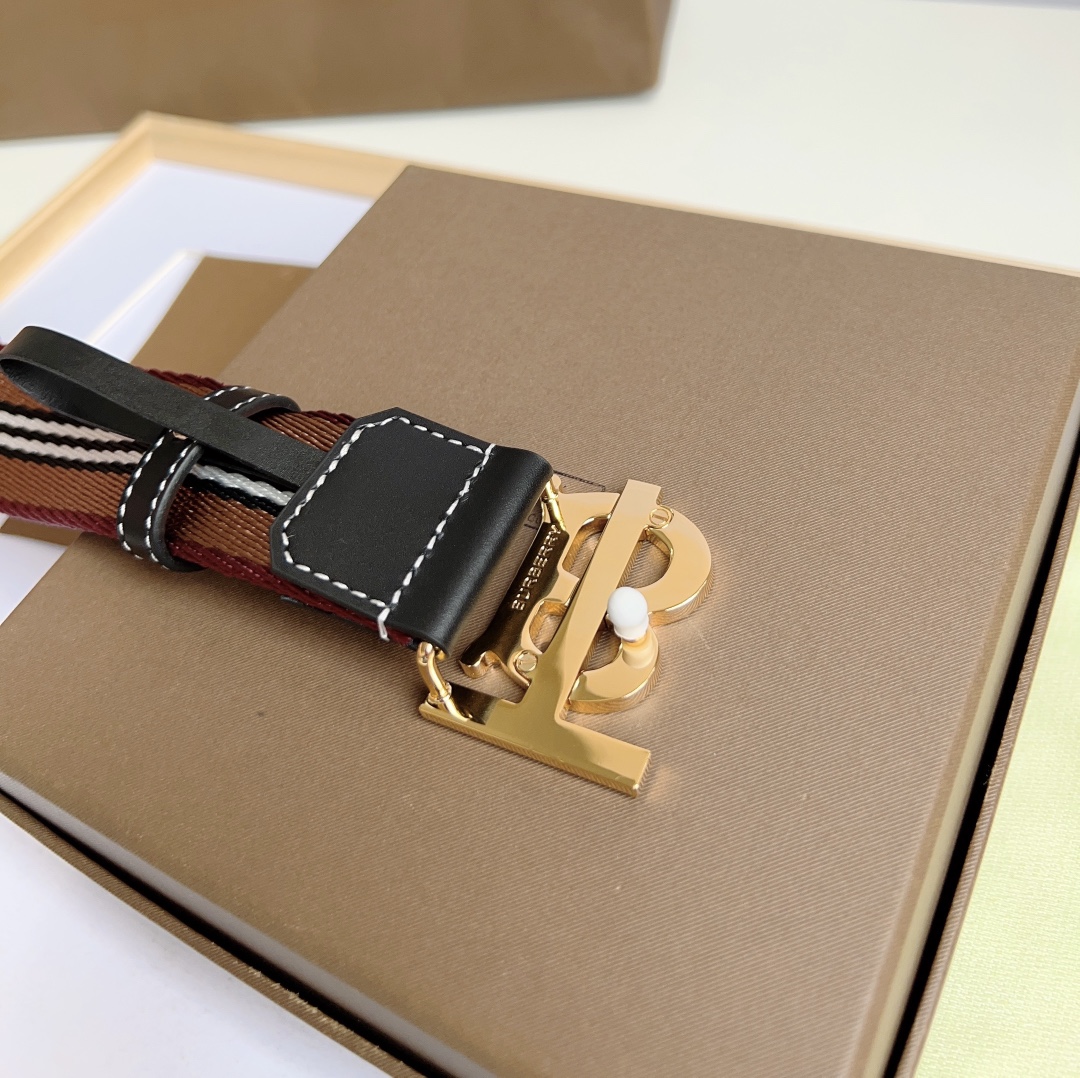 Burberry Bag