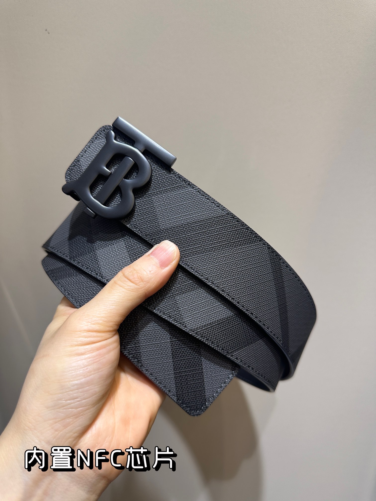 Burberry Bag