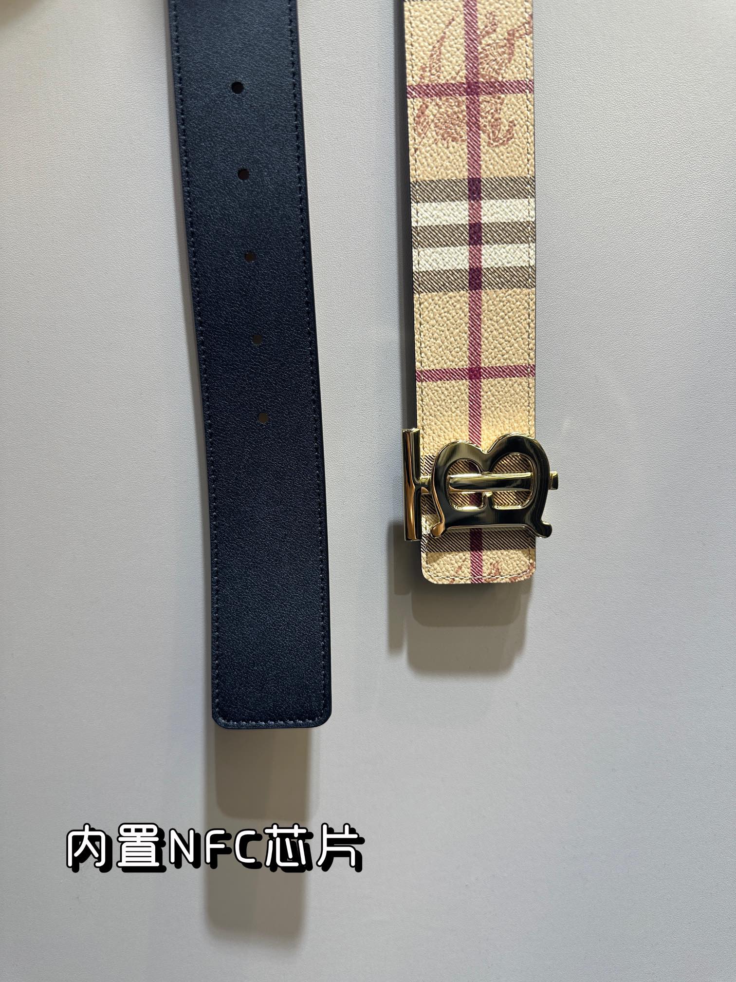Burberry Bag