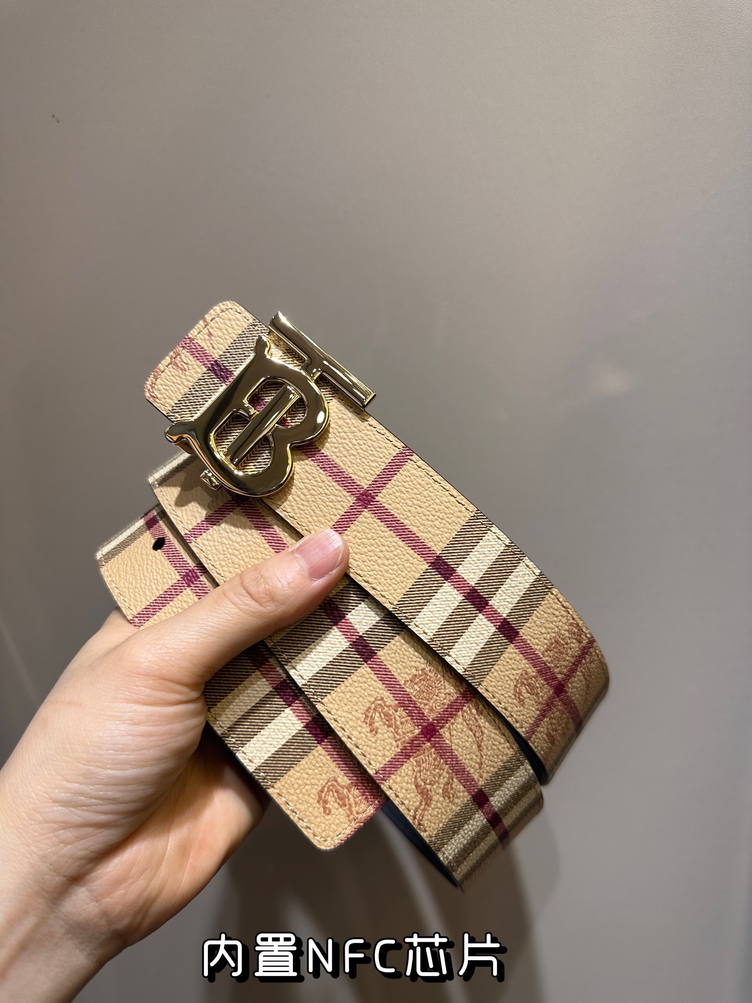 Burberry Bag