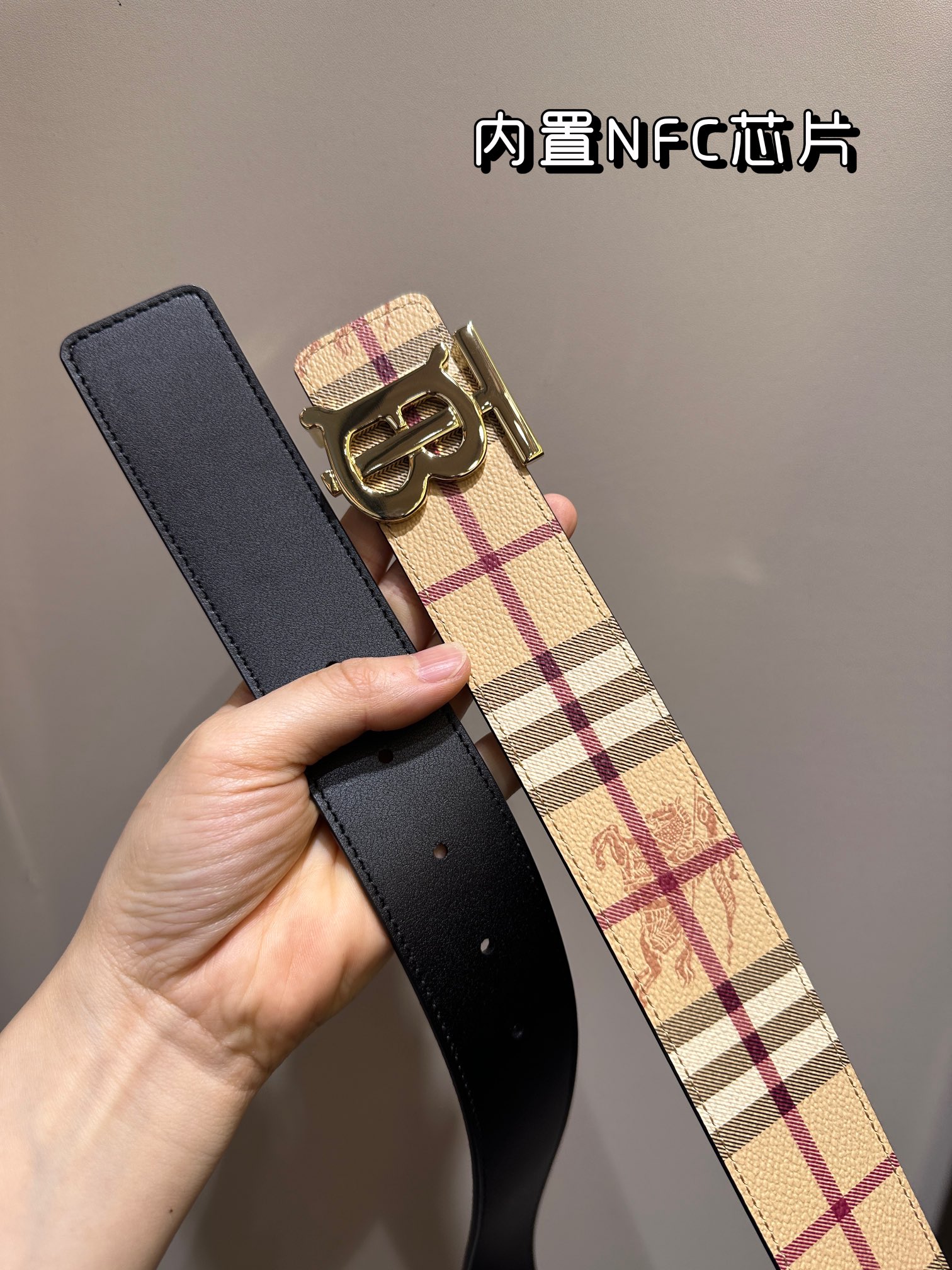 Burberry Bag