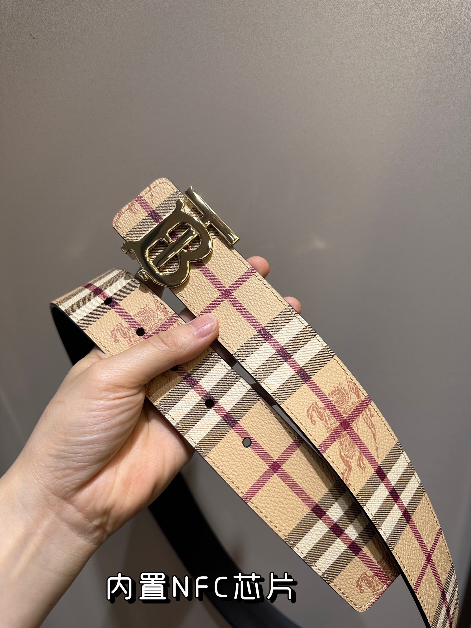 Burberry Bag