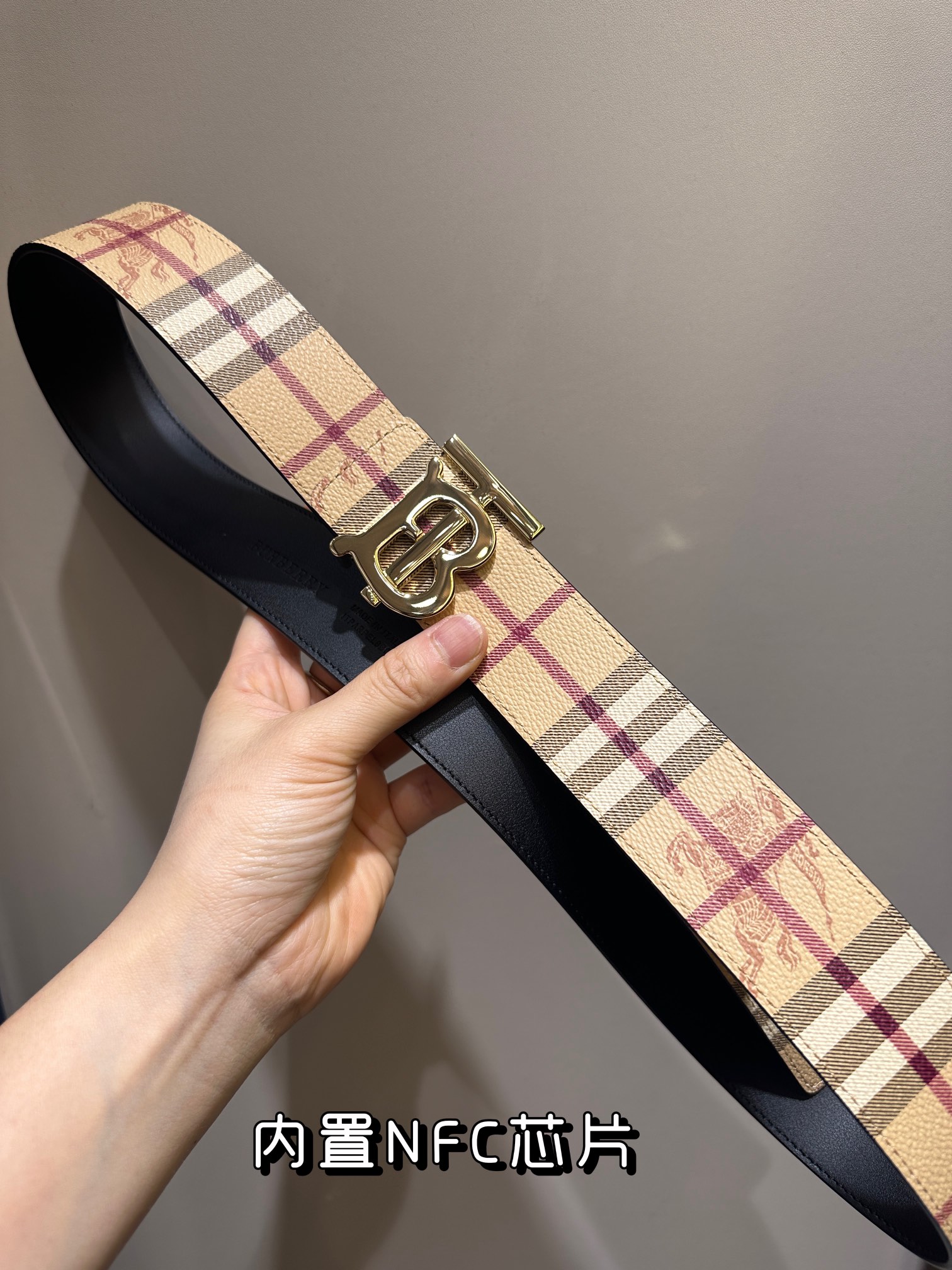 Burberry Bag