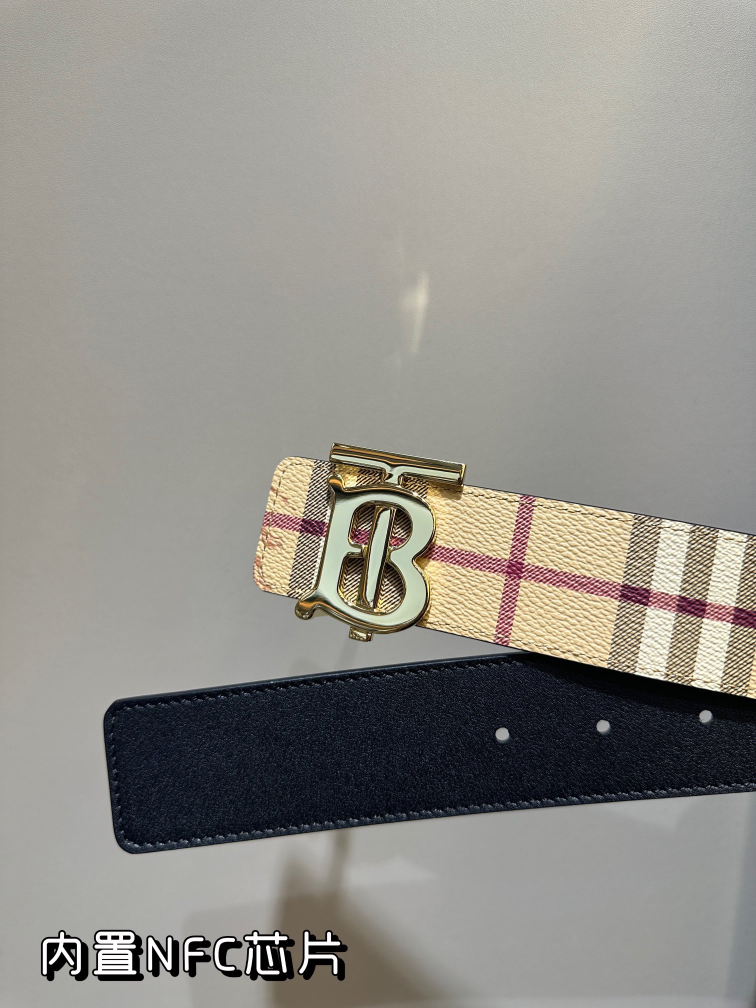 Burberry Bag