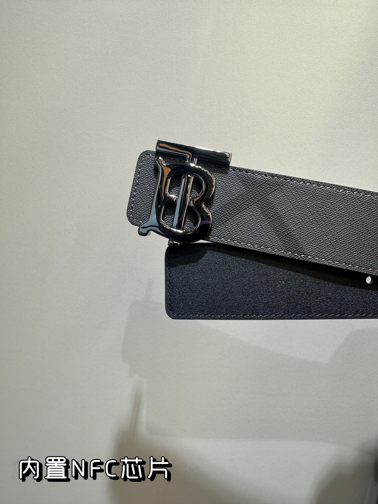 Burberry Bag