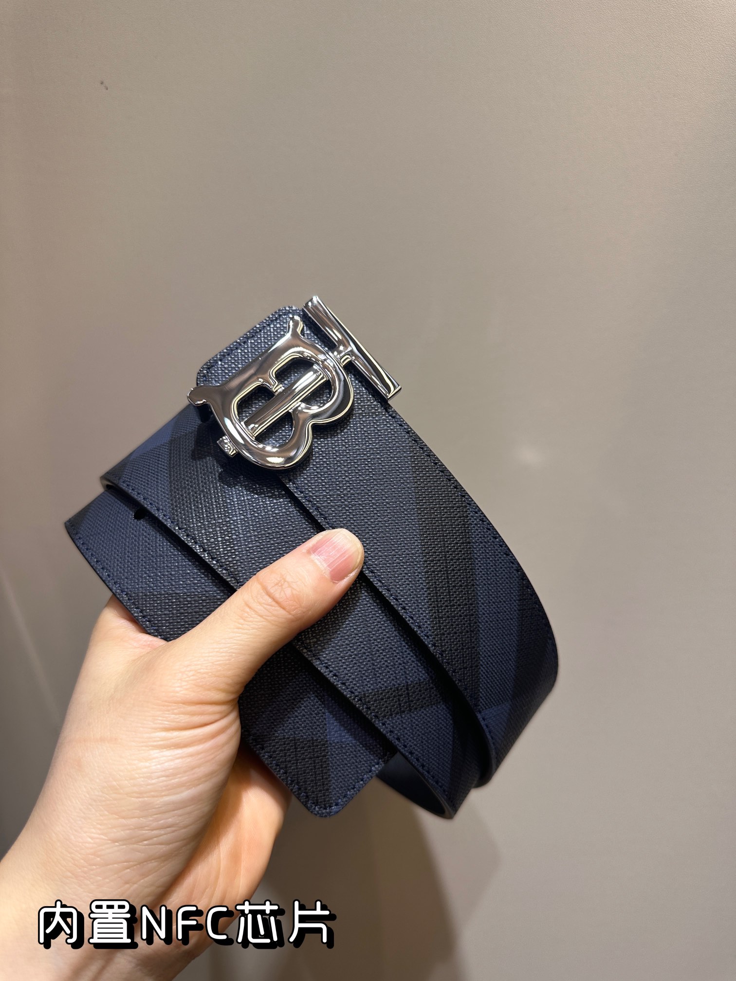 Burberry Bag