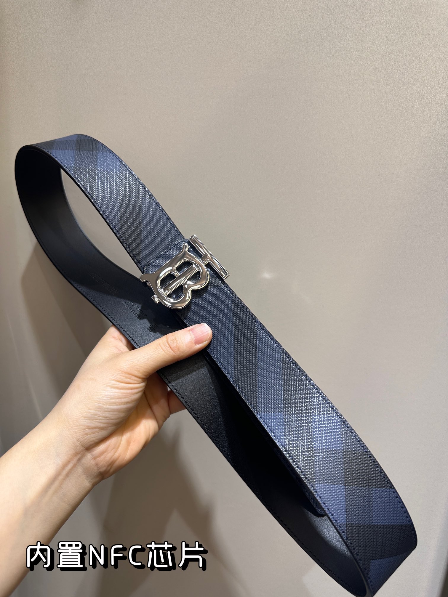 Burberry Bag