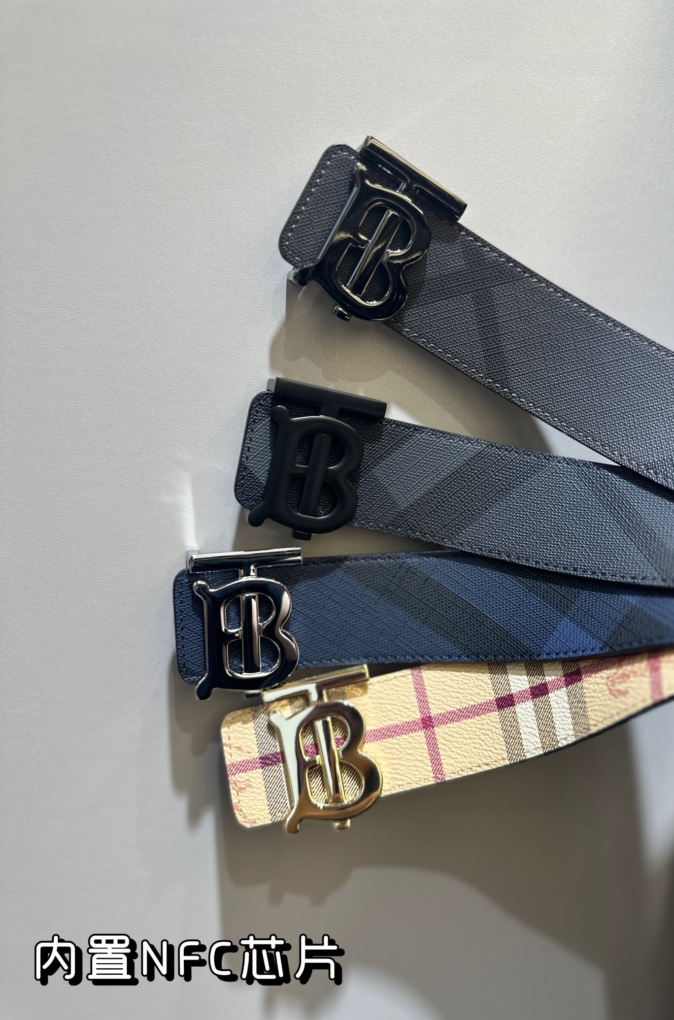 Burberry Bag