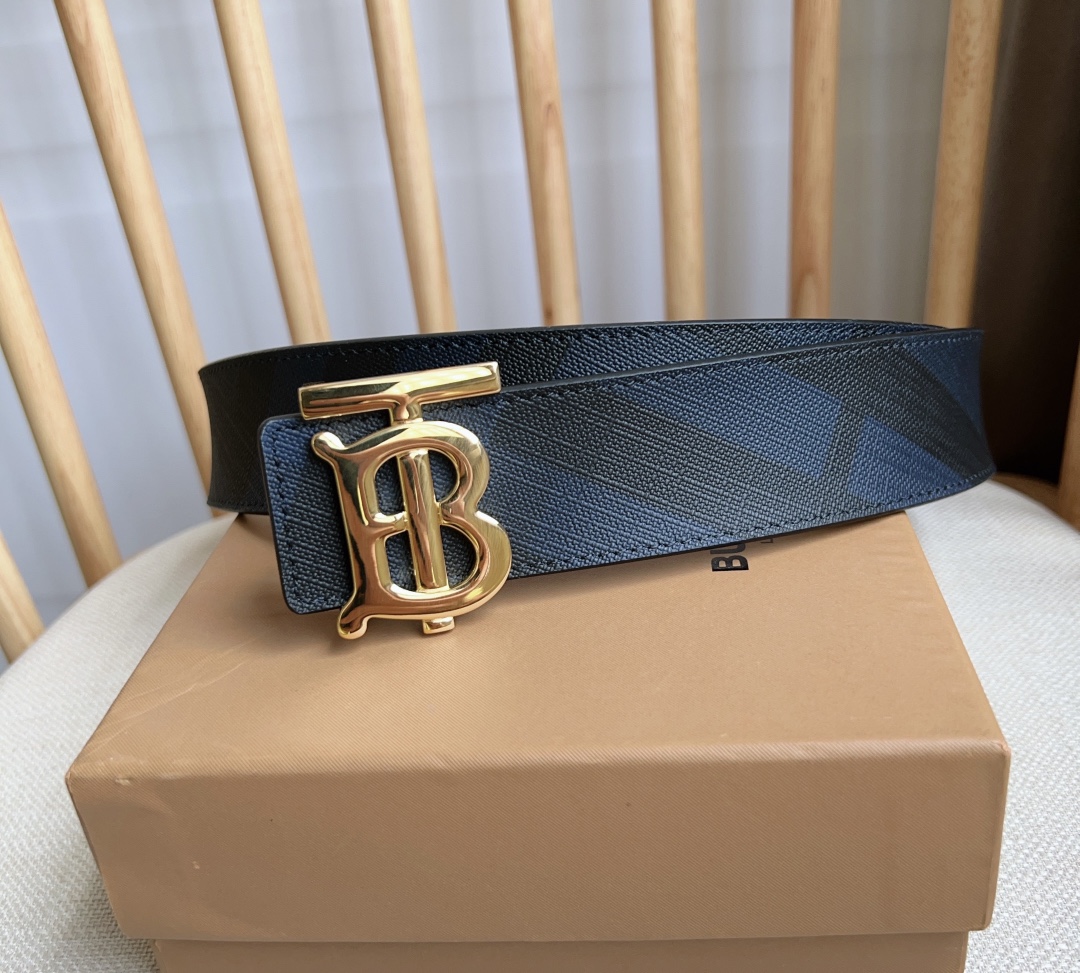 Burberry Bag