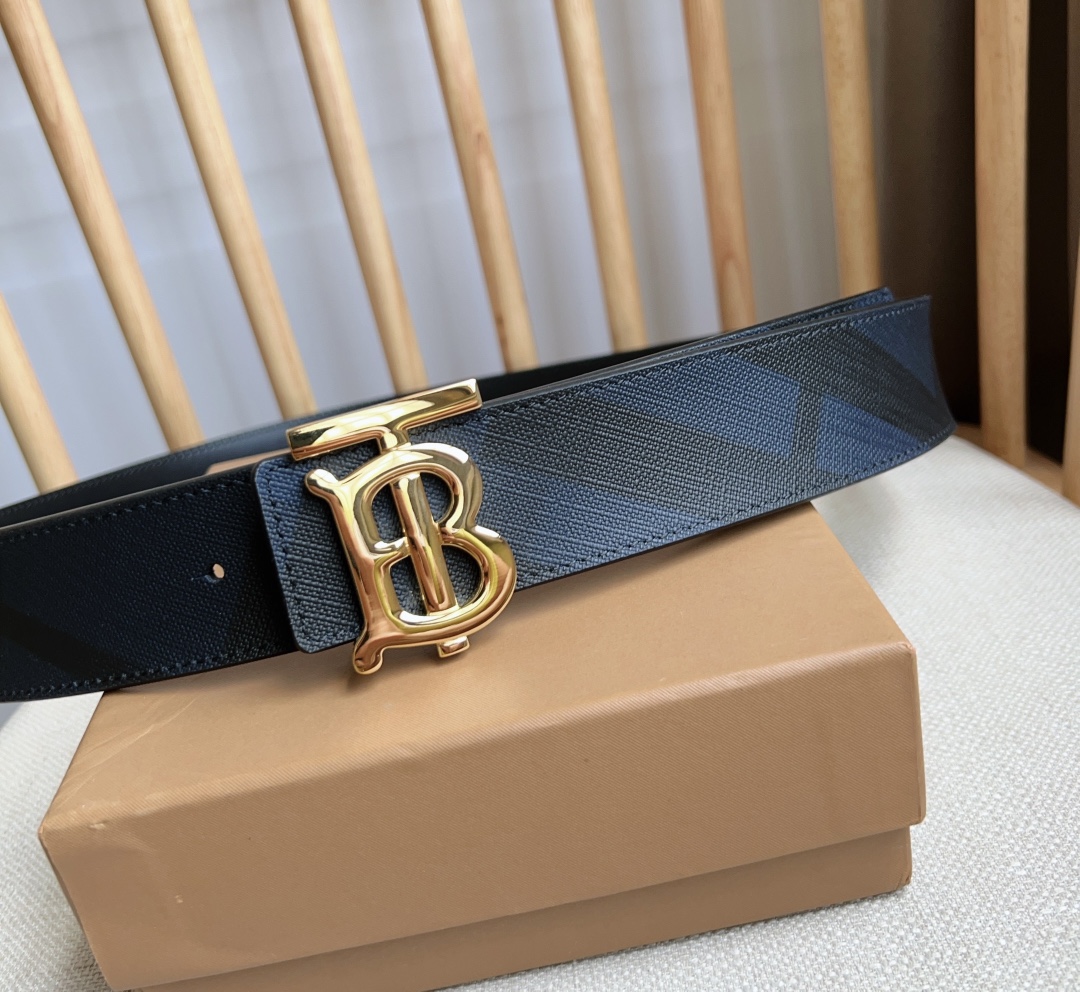 Burberry Bag