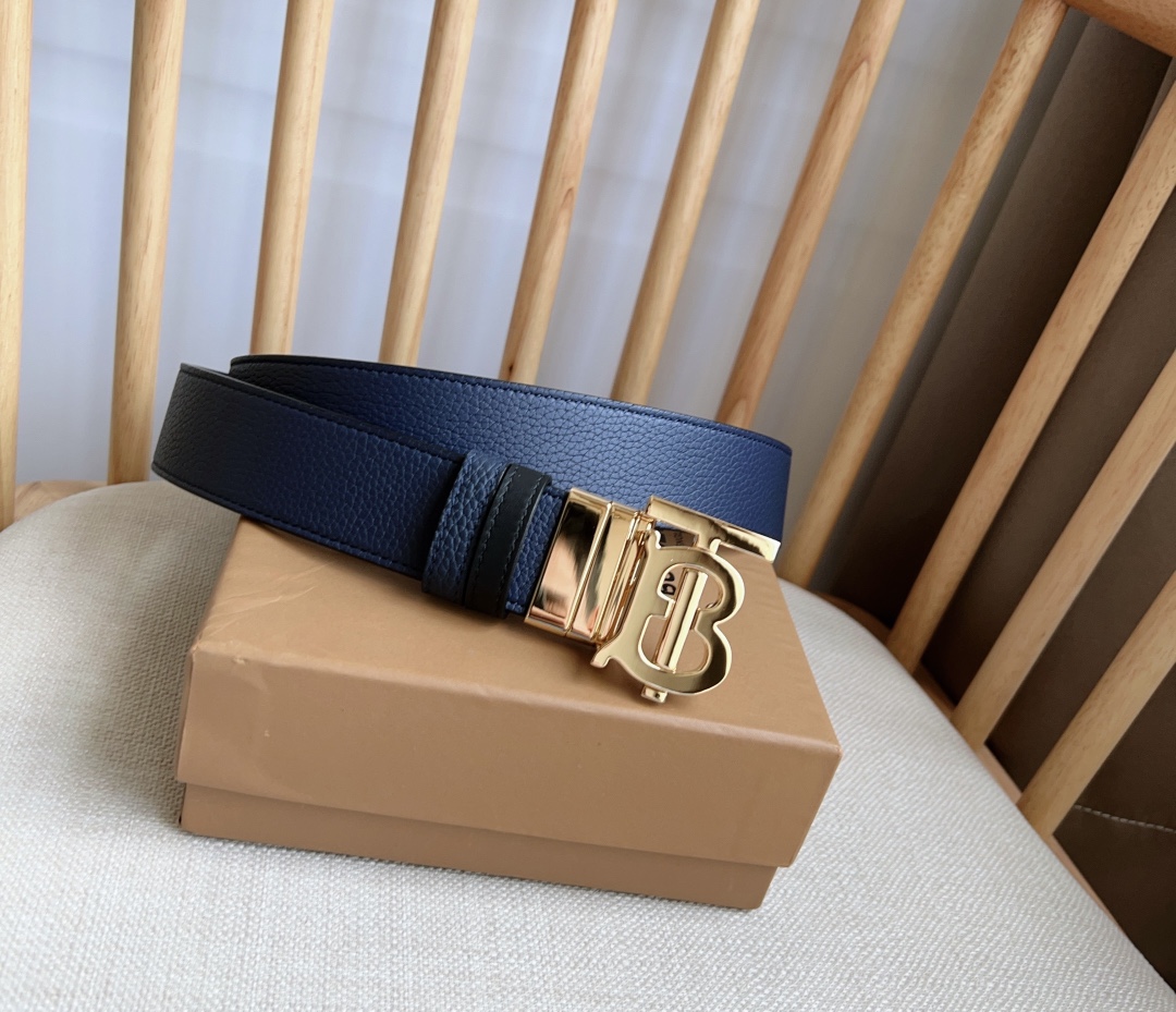 Burberry Bag