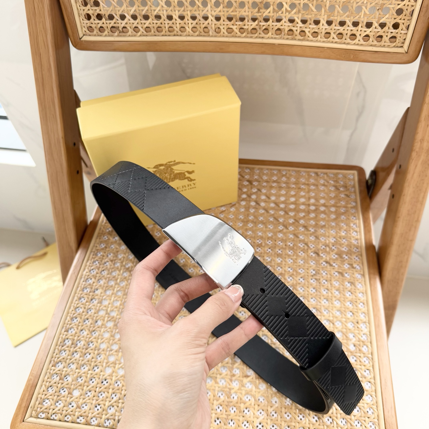 Burberry Bag