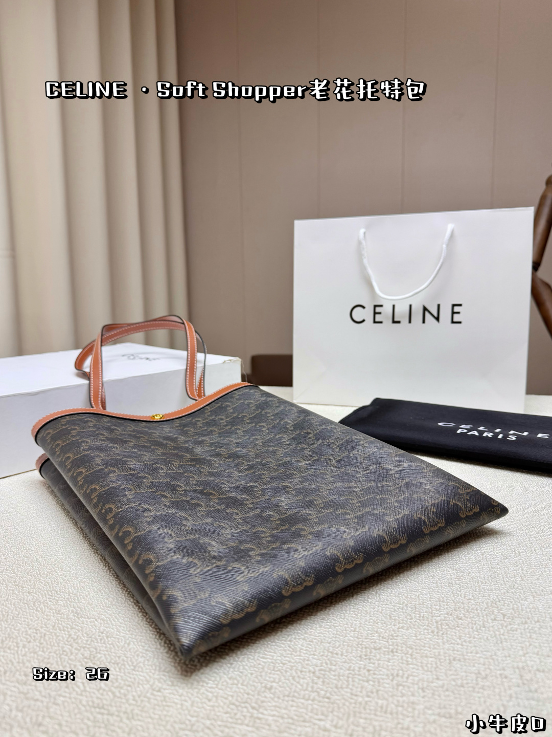 Celine Bag