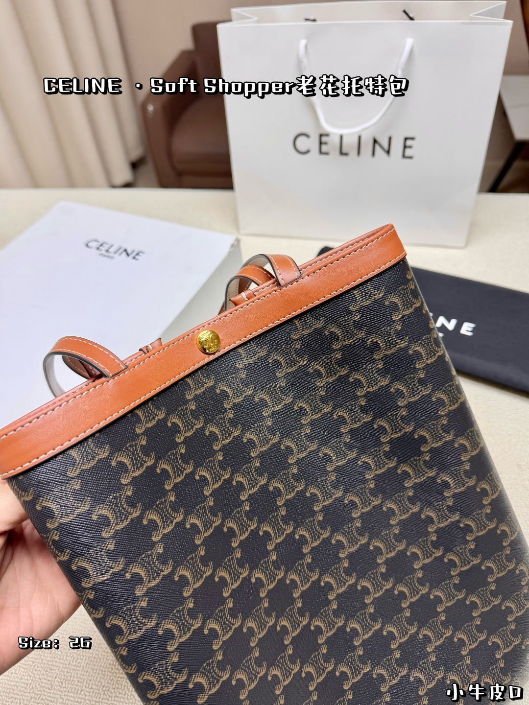 Celine Bag