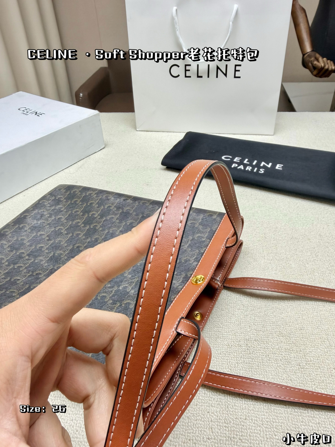 Celine Bag