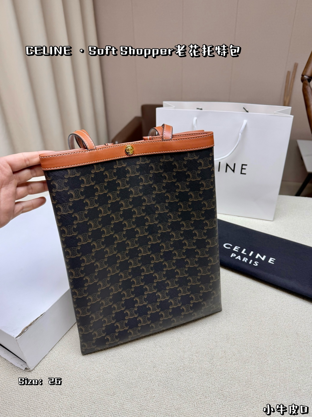 Celine Bag