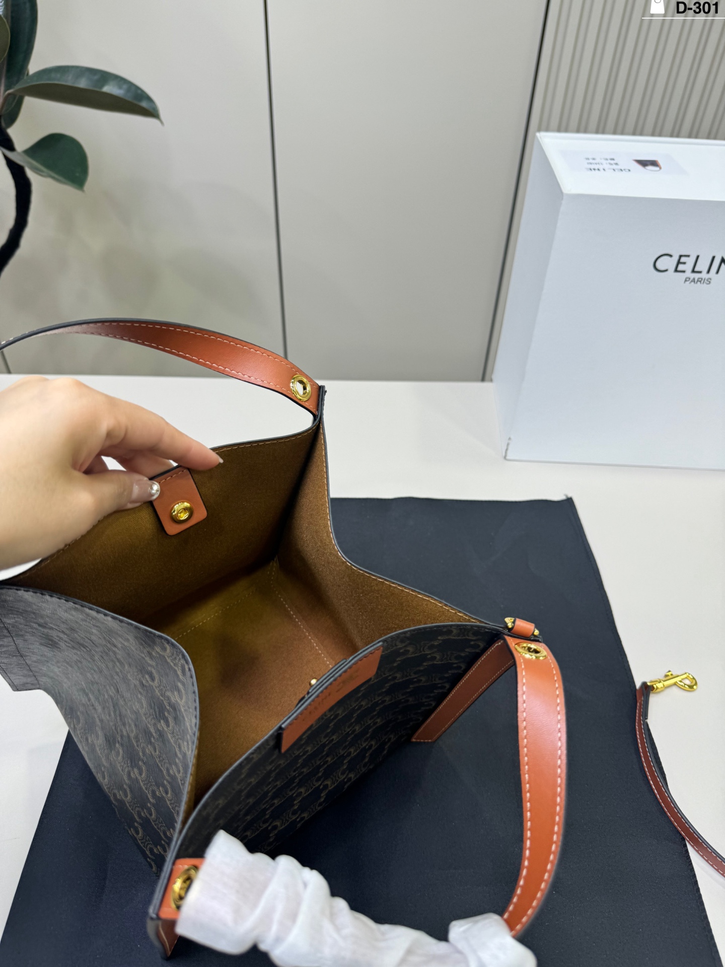 Celine Bag