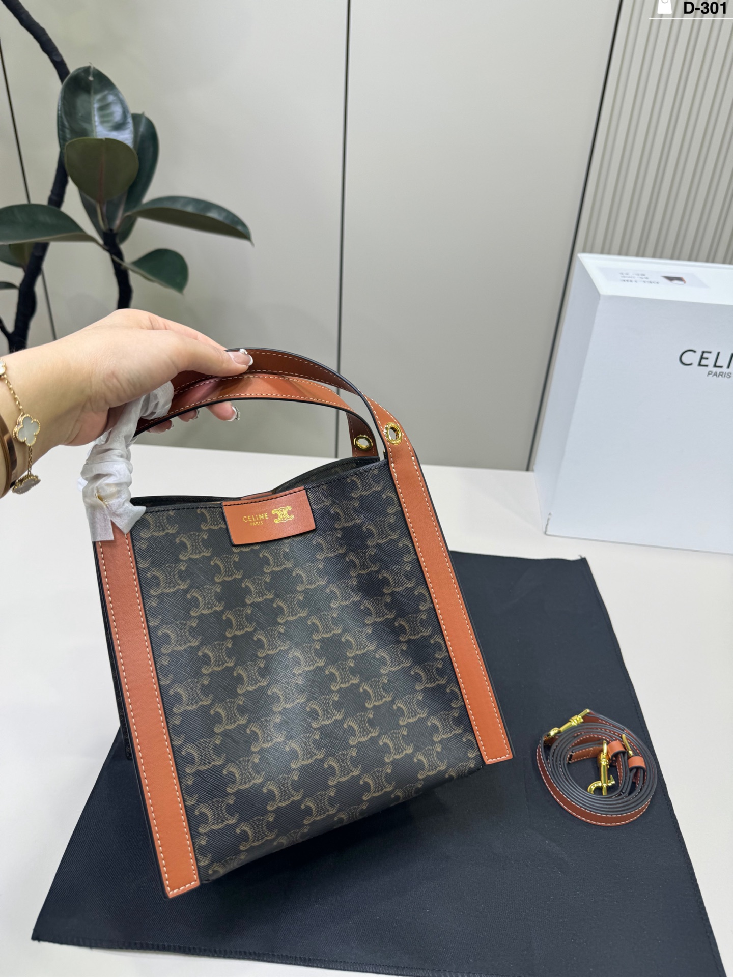 Celine Bag