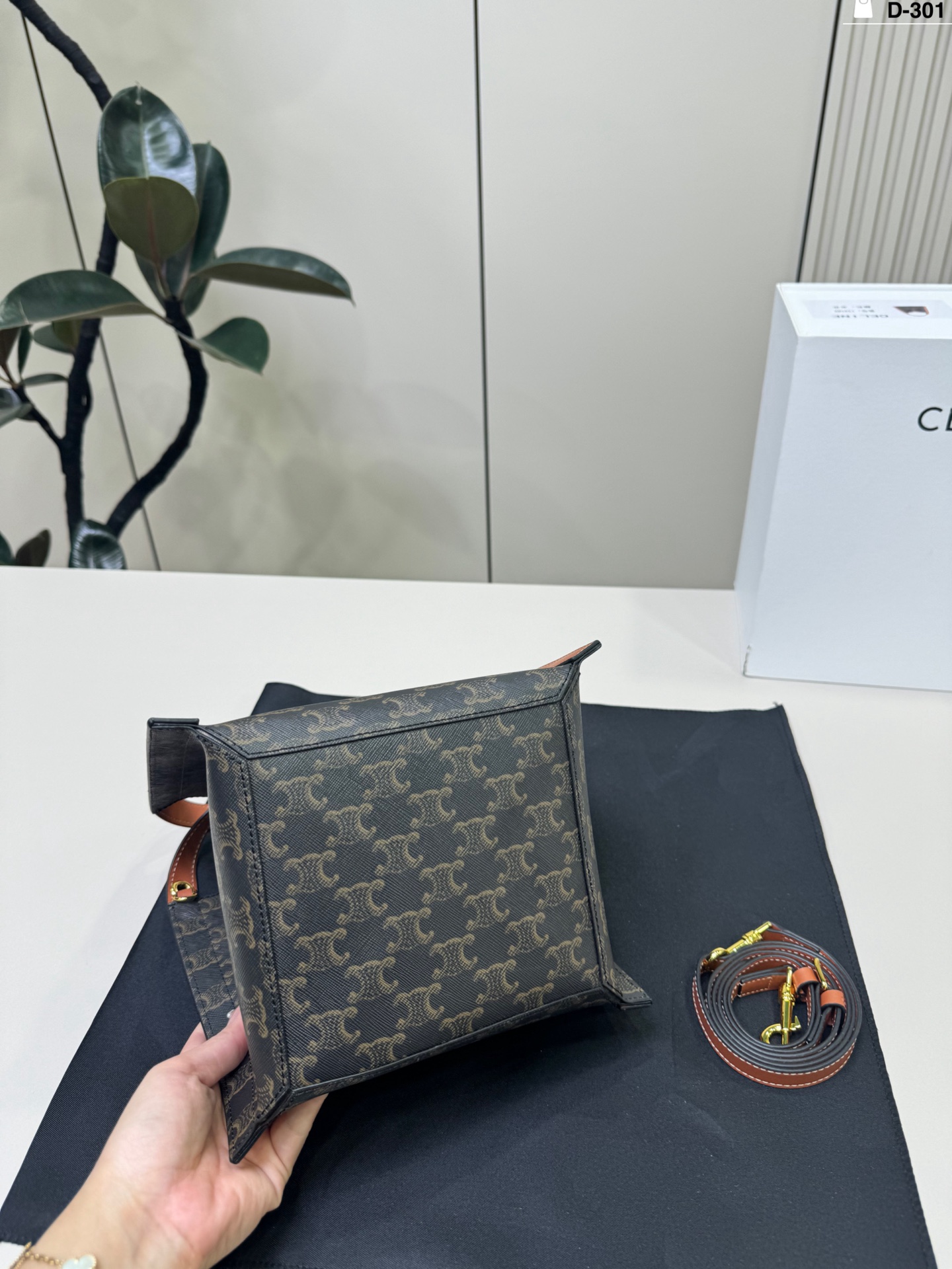 Celine Bag