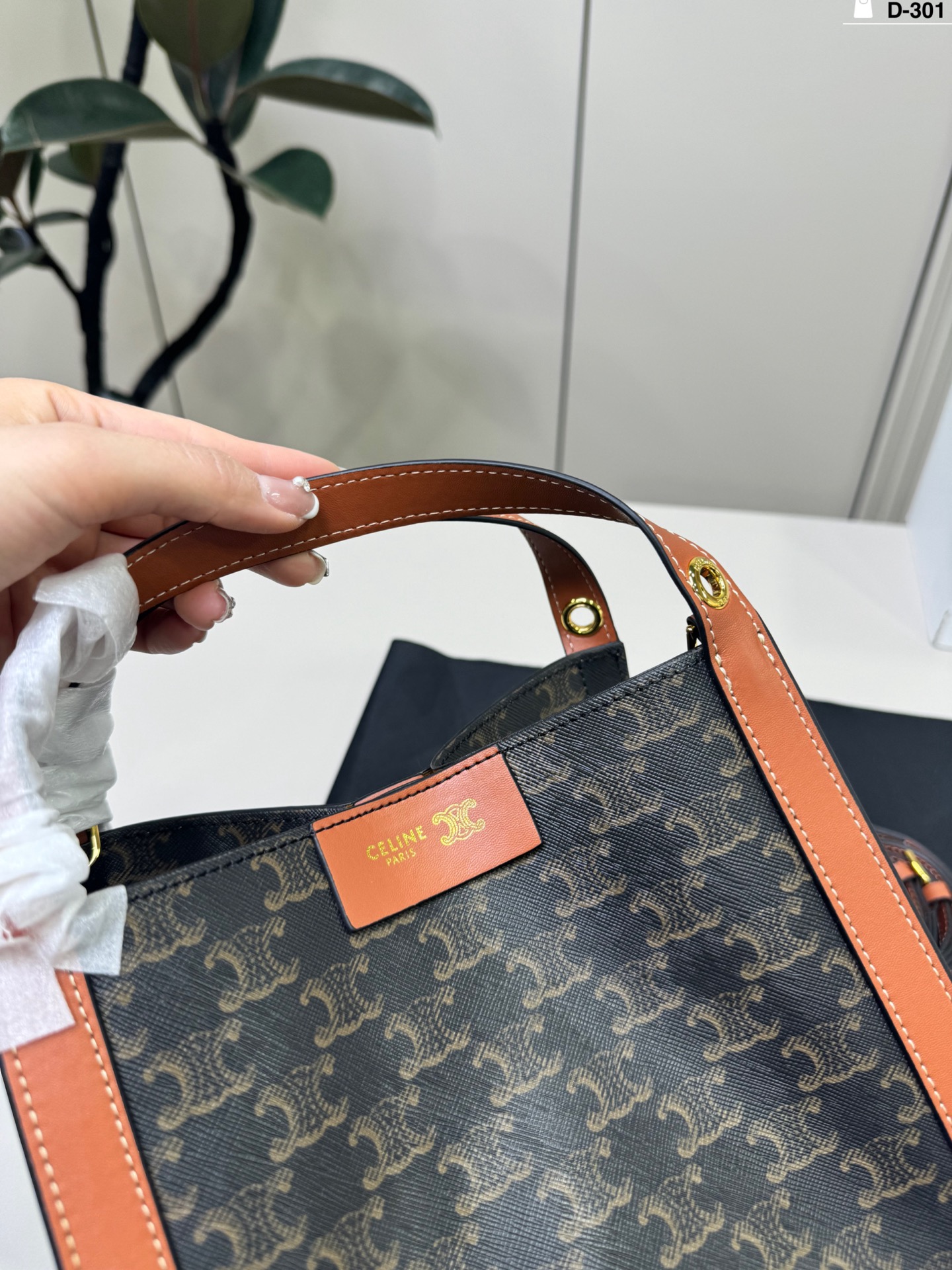 Celine Bag