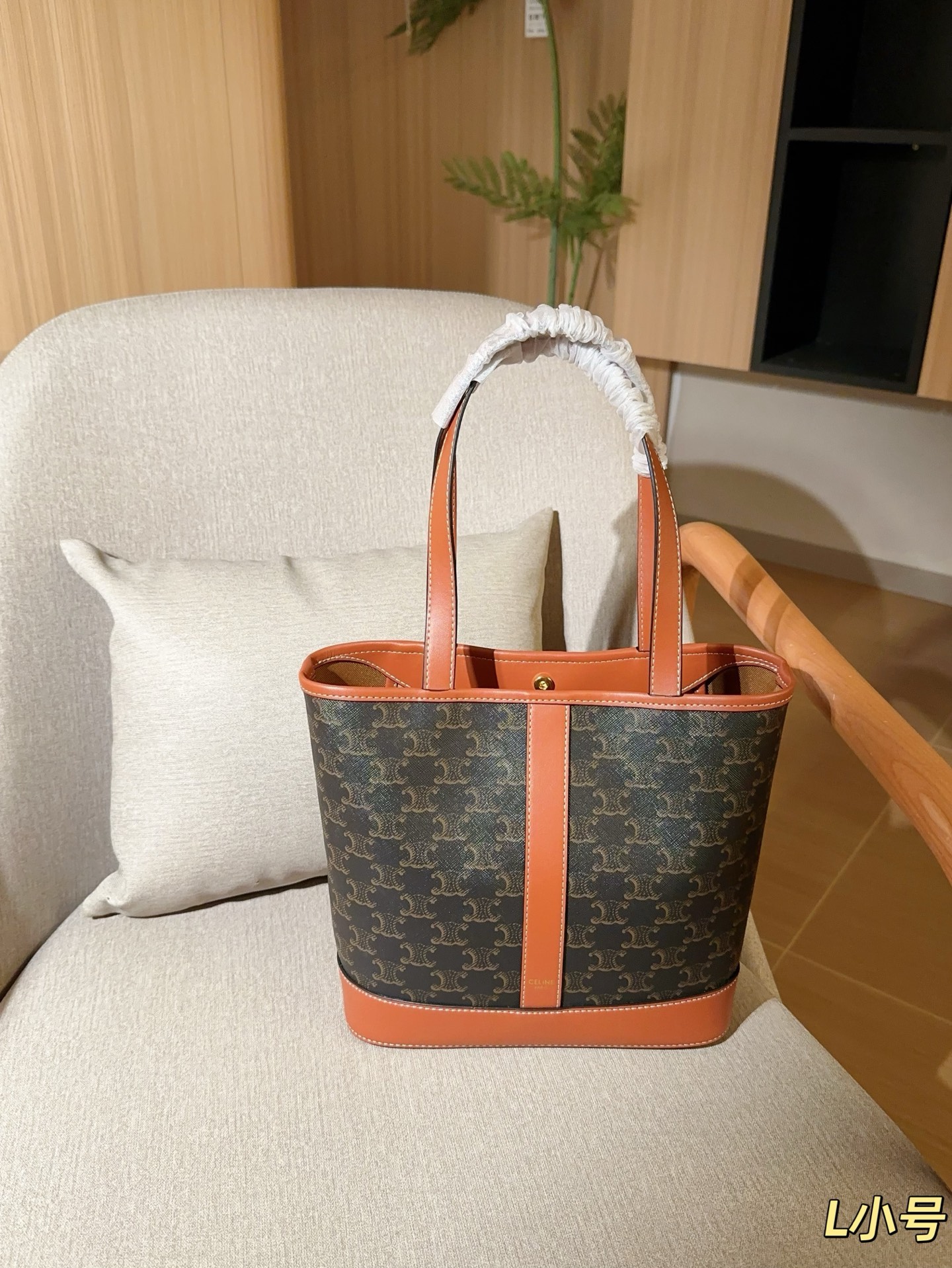 Celine Bag