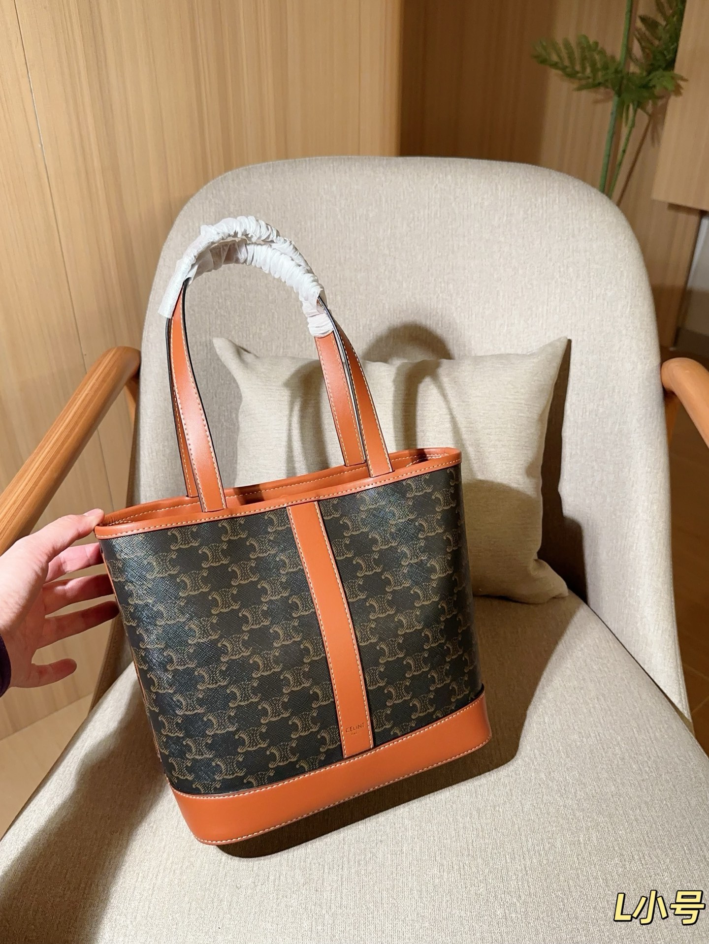Celine Bag