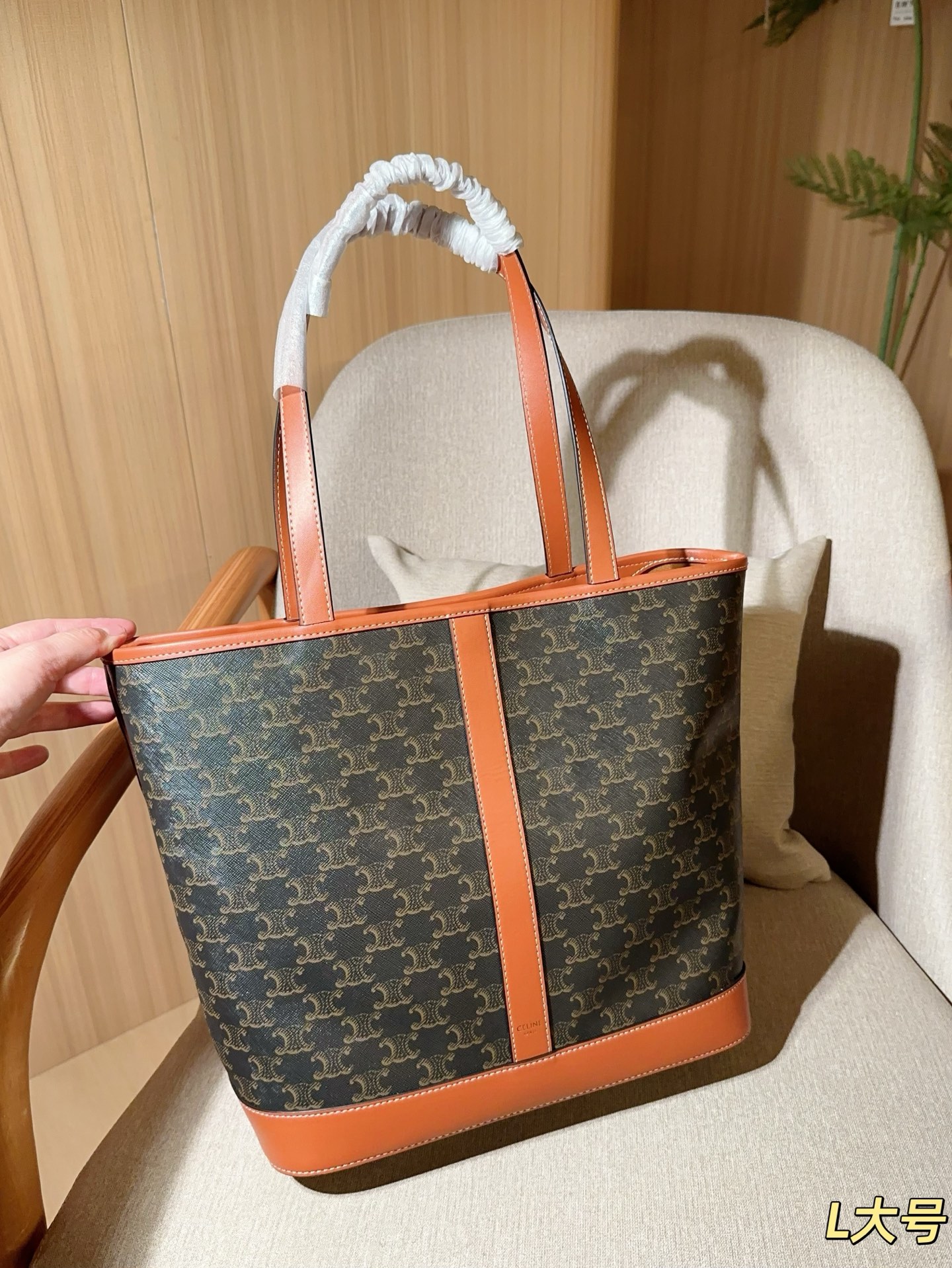 Celine Bag