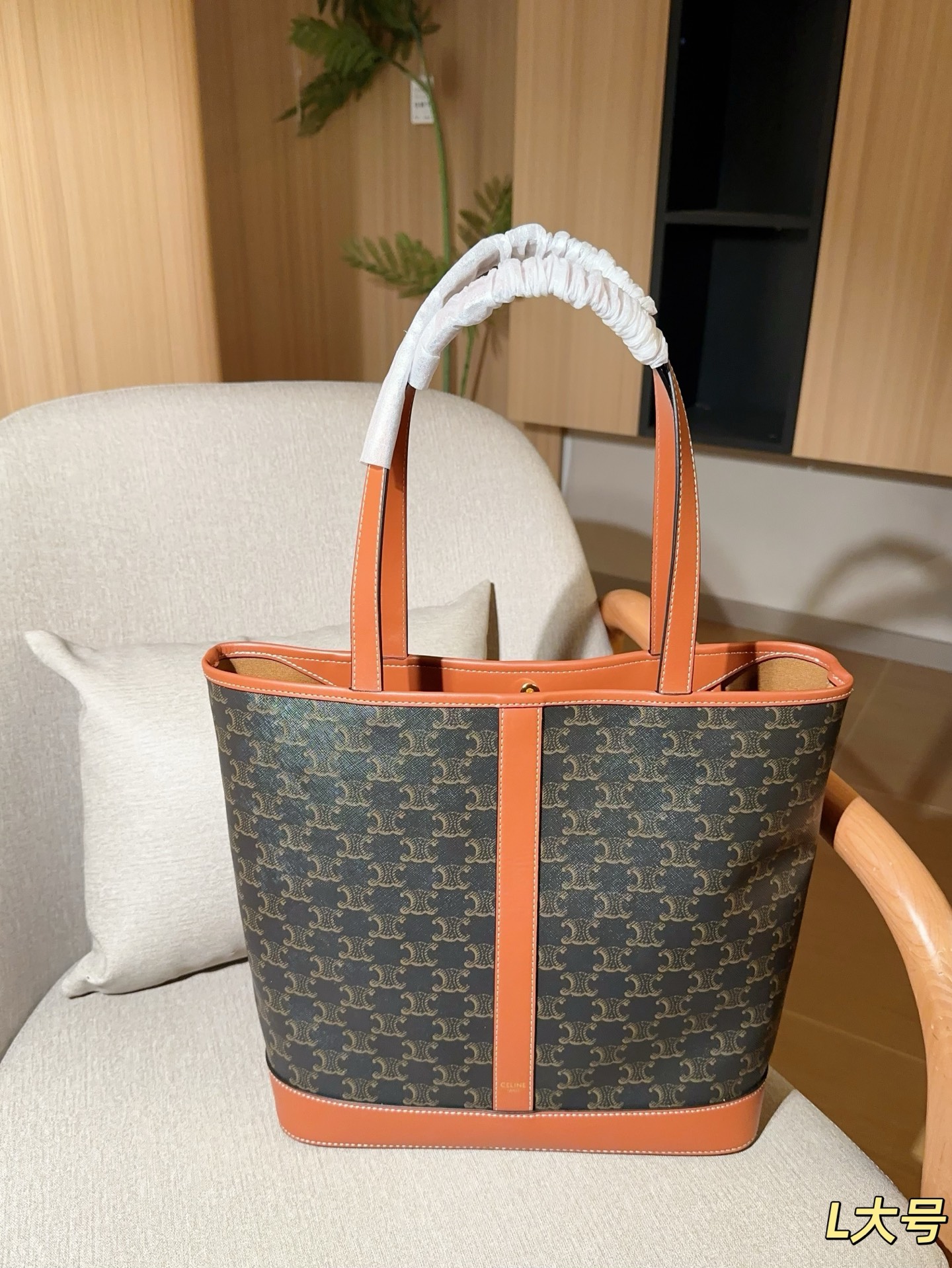 Celine Bag