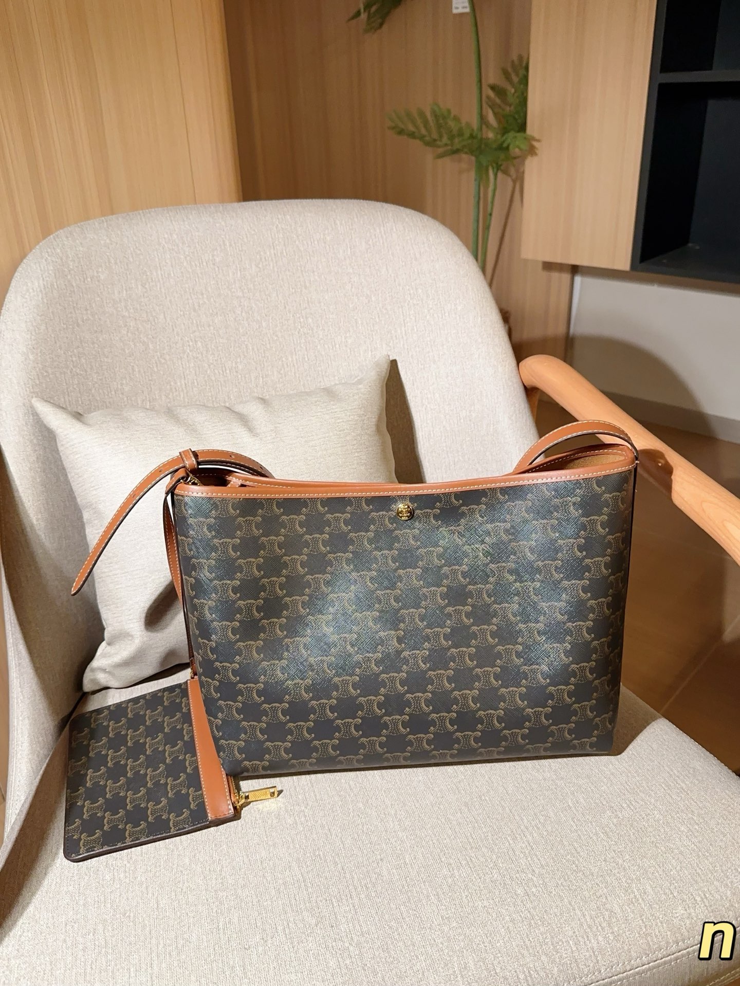 Celine Bag
