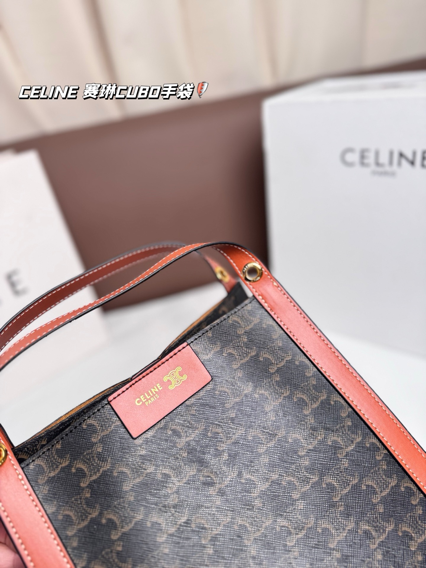 Celine Bag