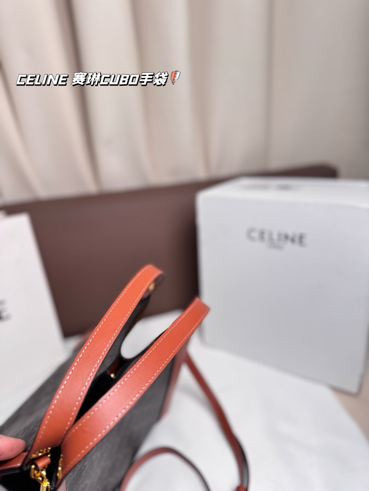 Celine Bag
