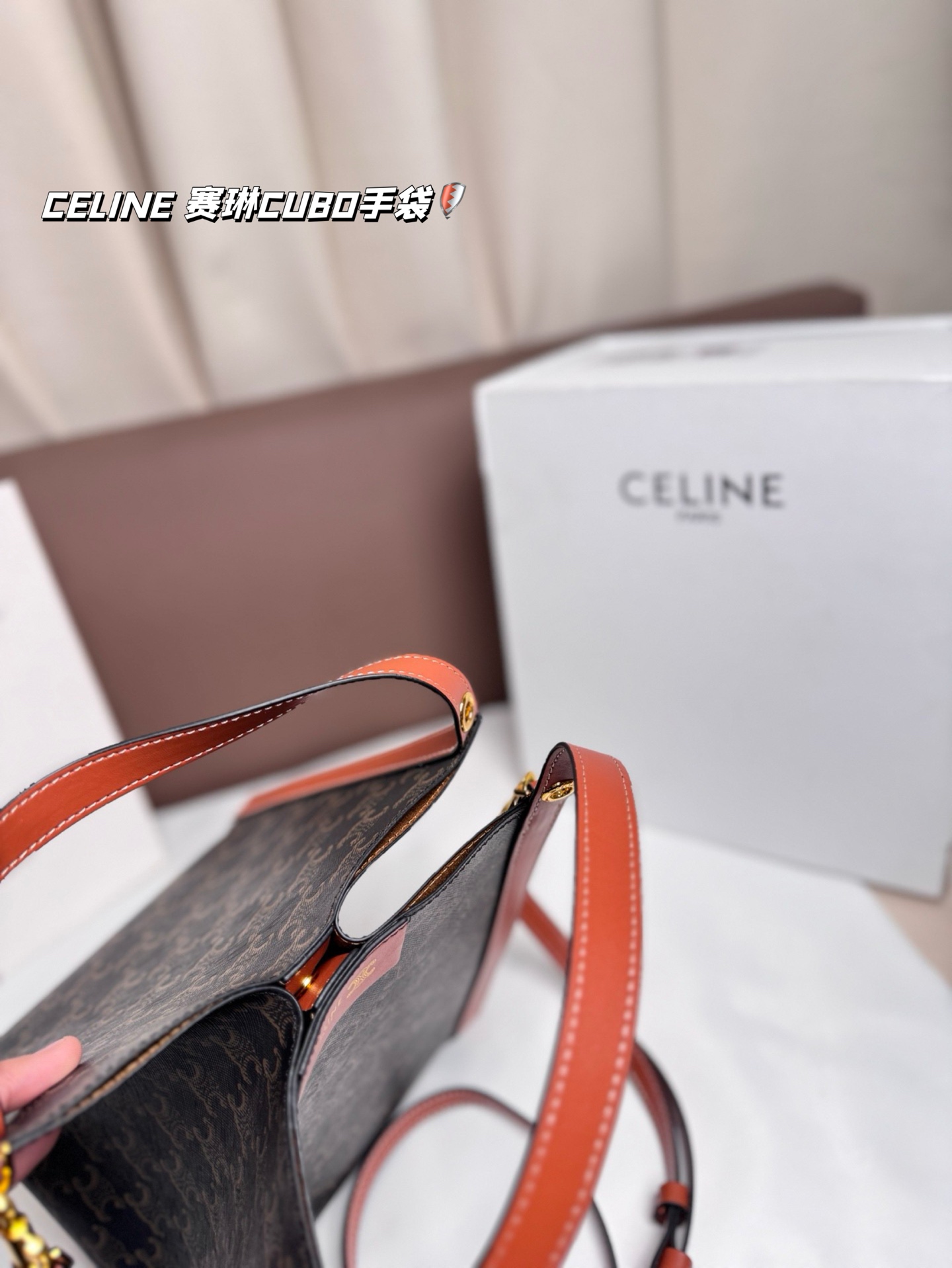 Celine Bag