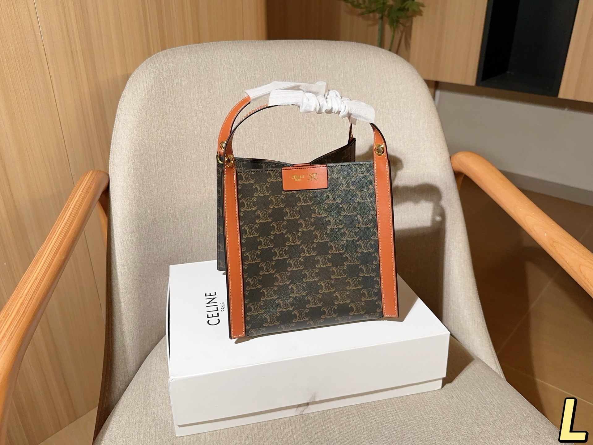 Celine Bag