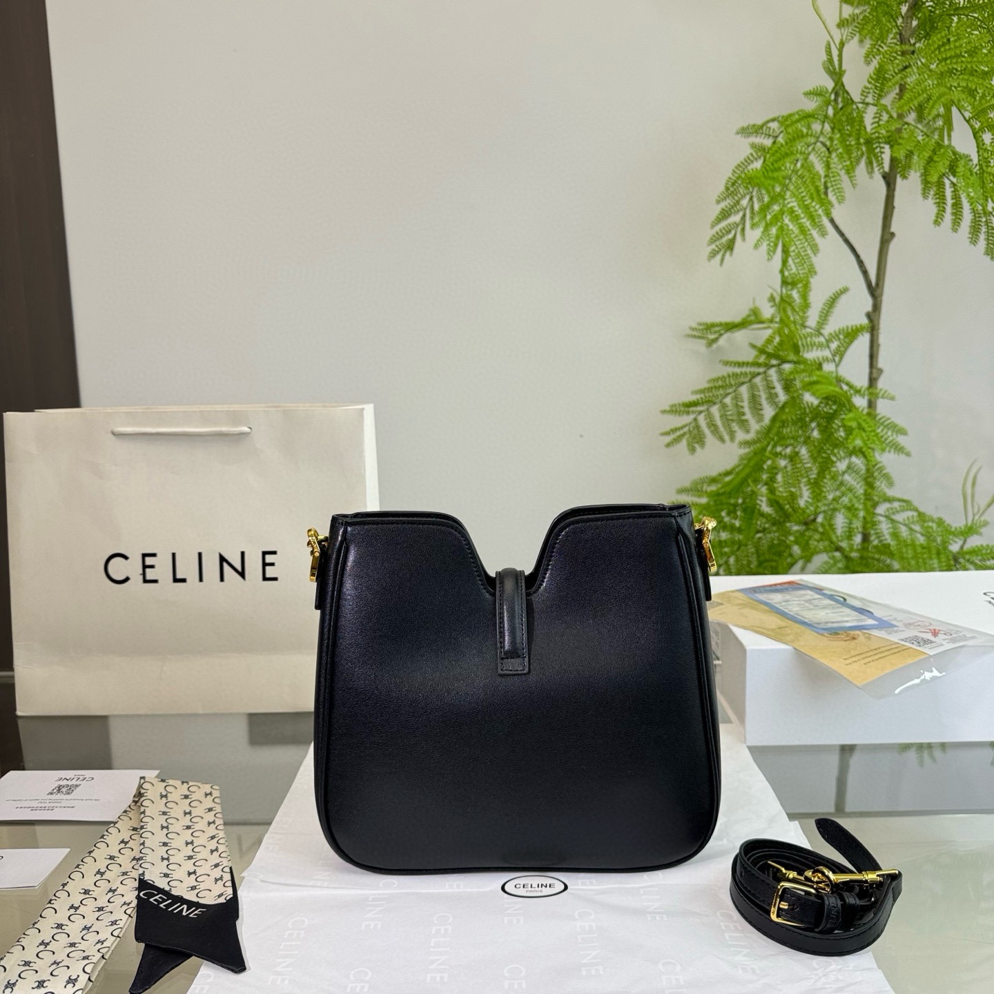 Celine Bag