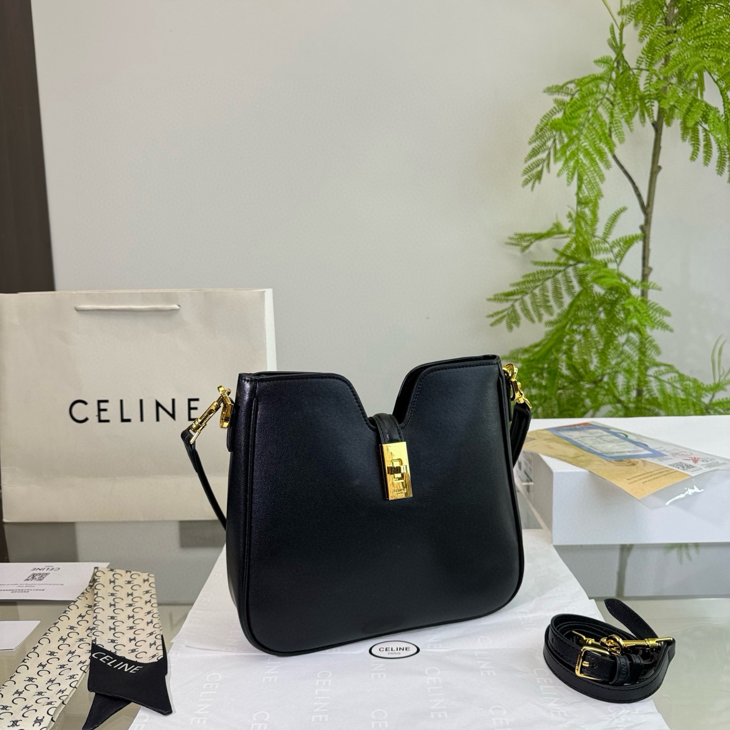 Celine Bag